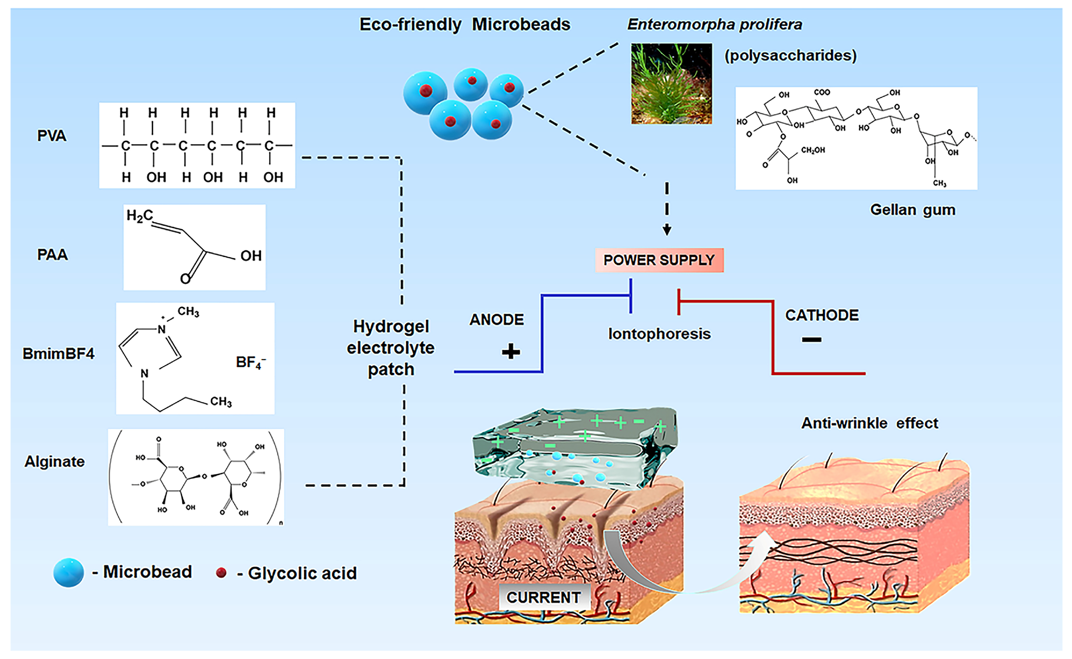 Gels 11 00682 sch001 Gels 11 00682 sch001