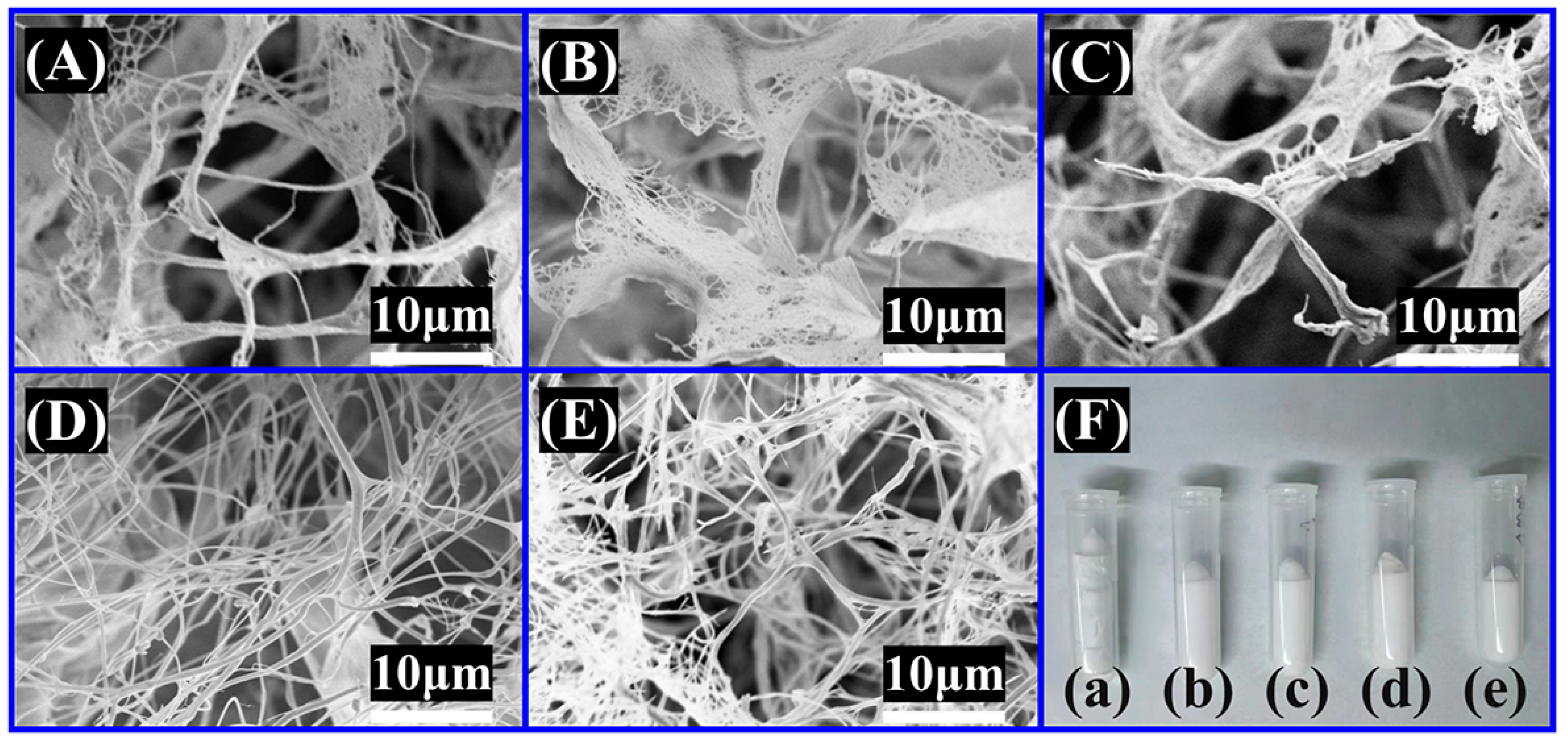 Gels 11 00683 g002 Gels 11 00683 g002