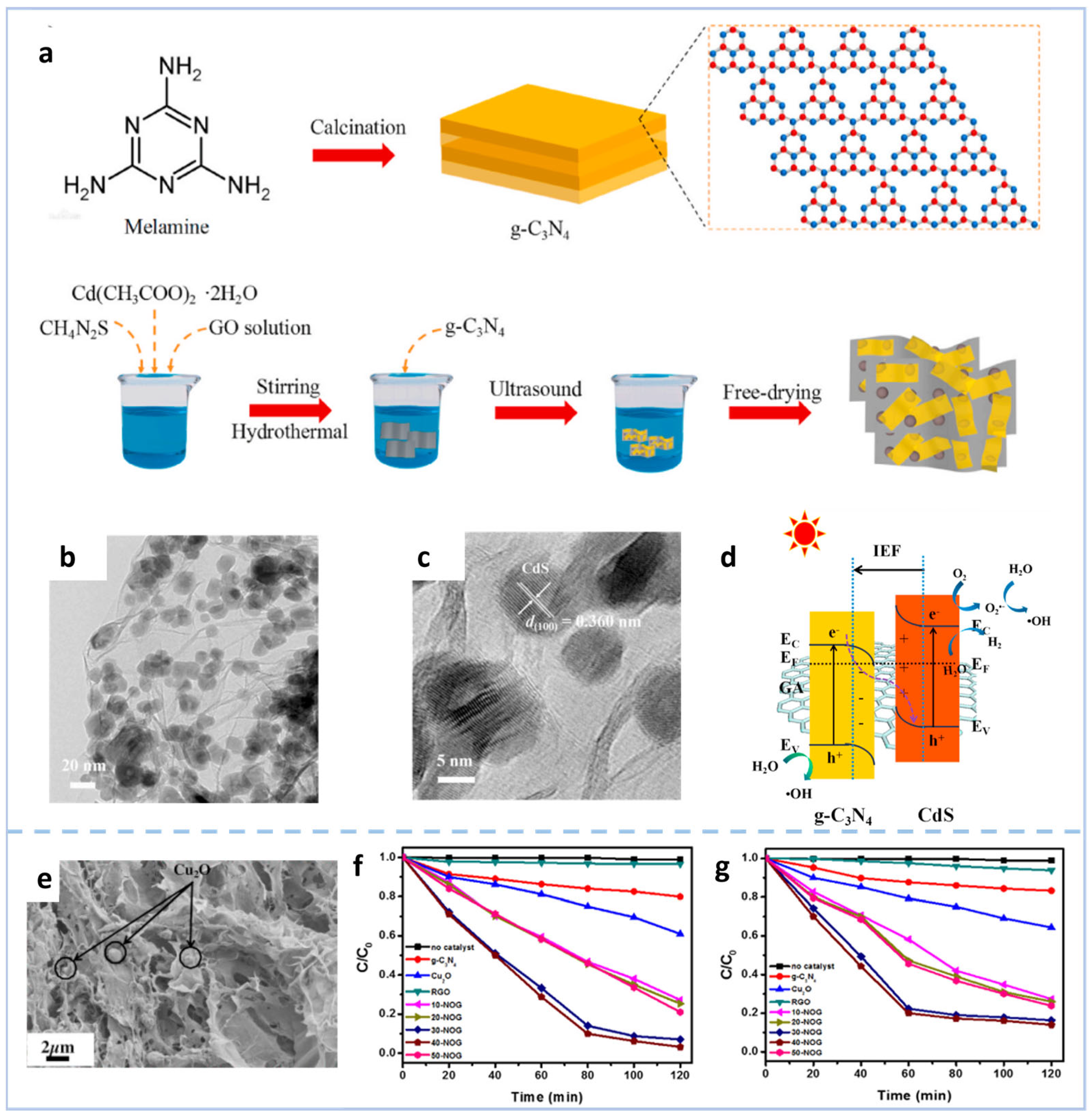 Gels 11 00685 g006 Gels 11 00685 g006