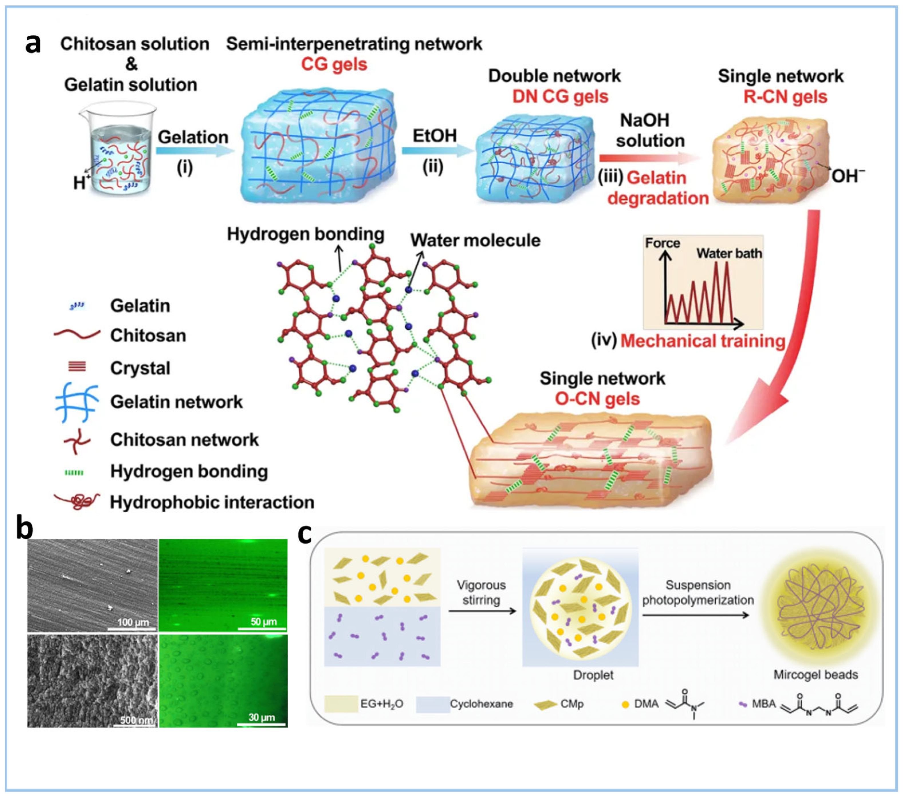 Gels 11 00685 g007 Gels 11 00685 g007