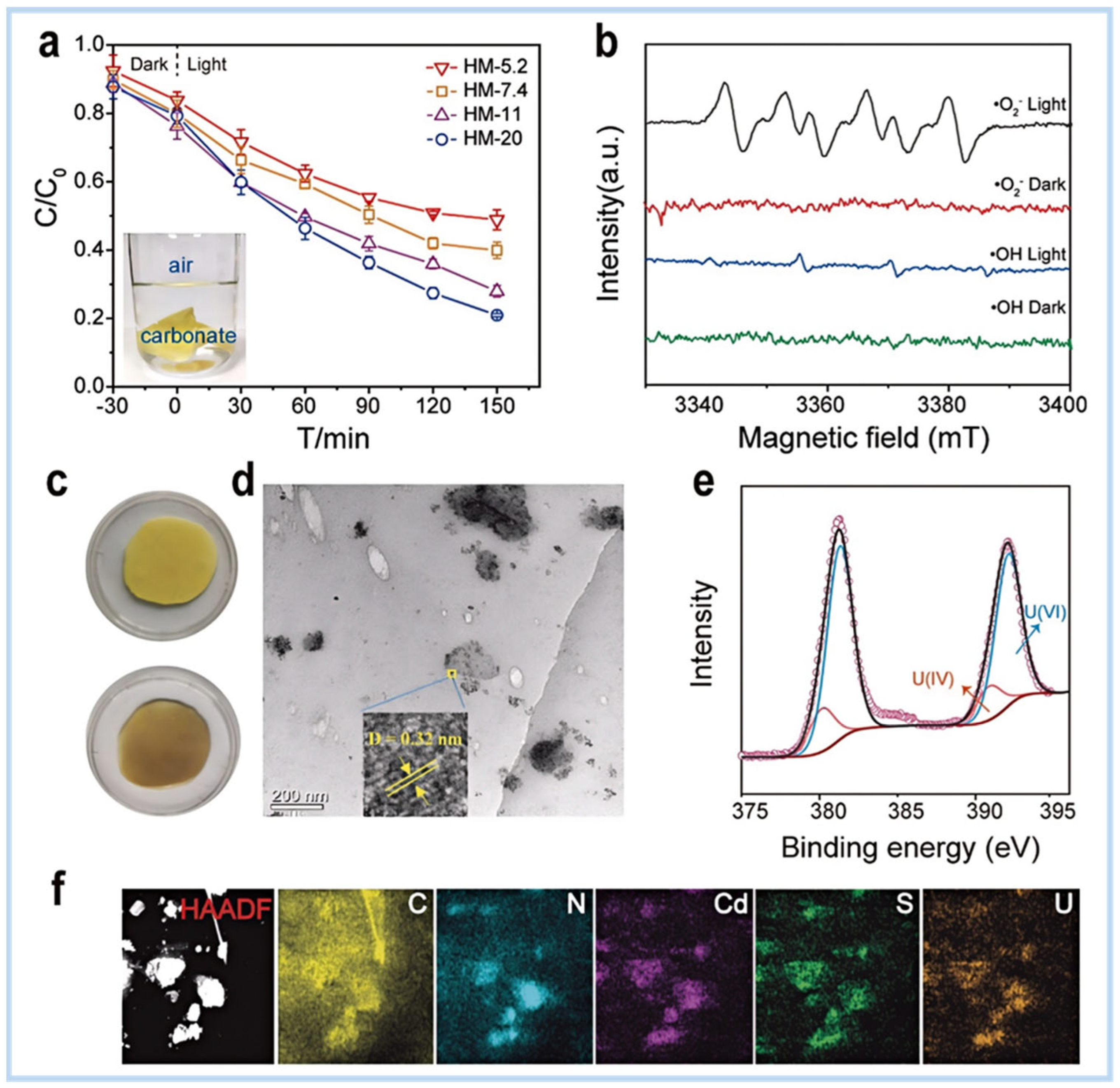 Gels 11 00685 g010 Gels 11 00685 g010