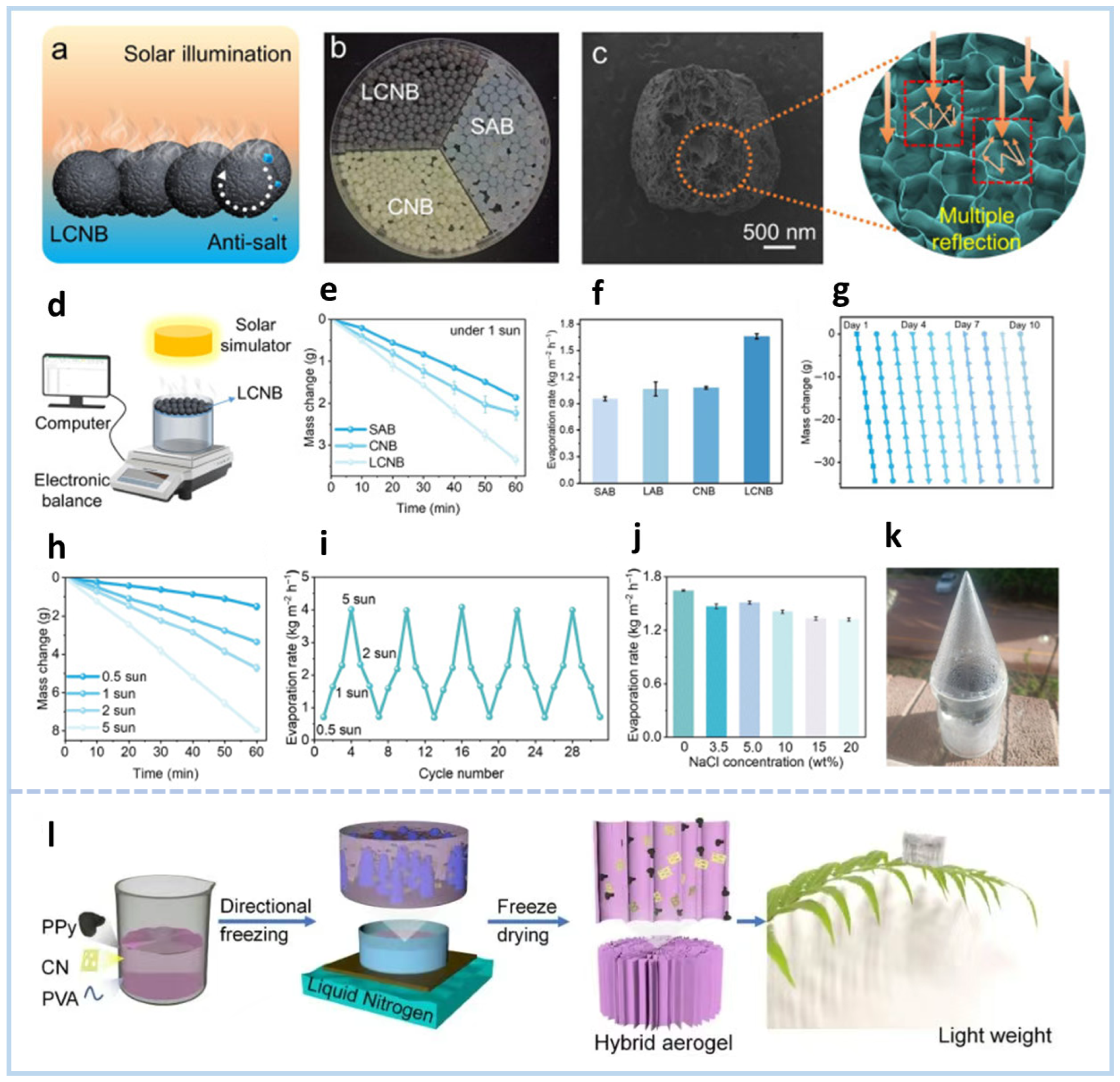 Gels 11 00685 g012 Gels 11 00685 g012