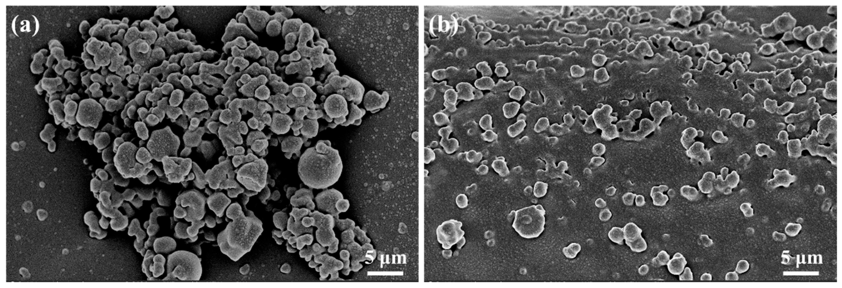 Gels 11 00687 g014 Gels 11 00687 g014