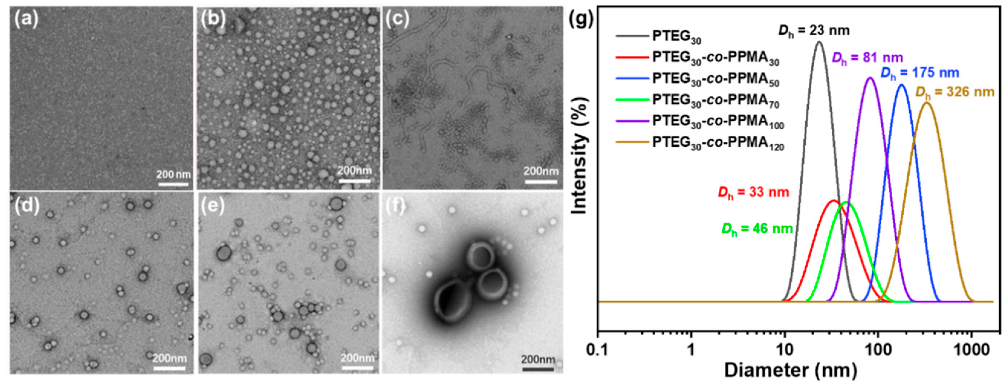 Gels 11 00690 g002 Gels 11 00690 g002