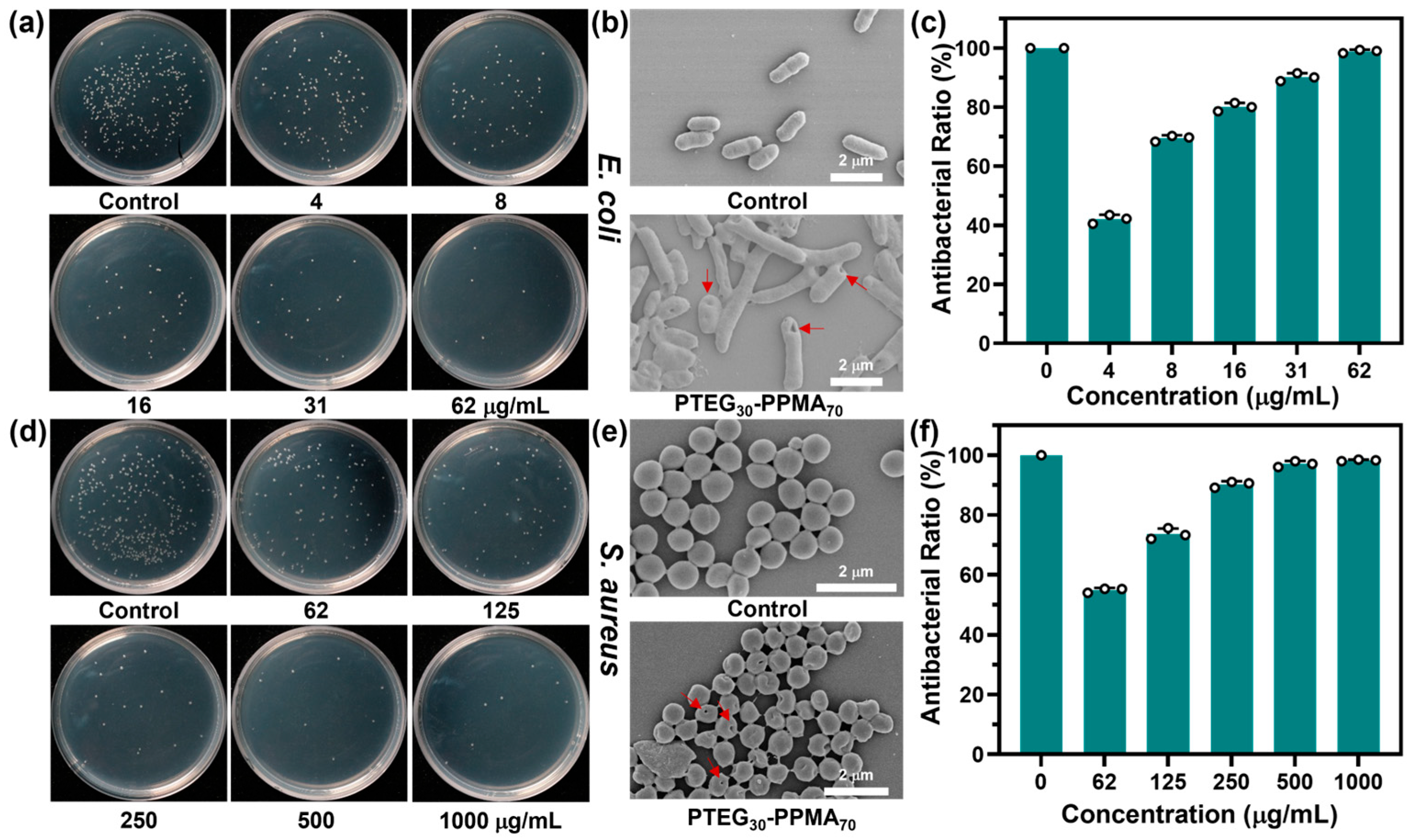 Gels 11 00690 g003 Gels 11 00690 g003