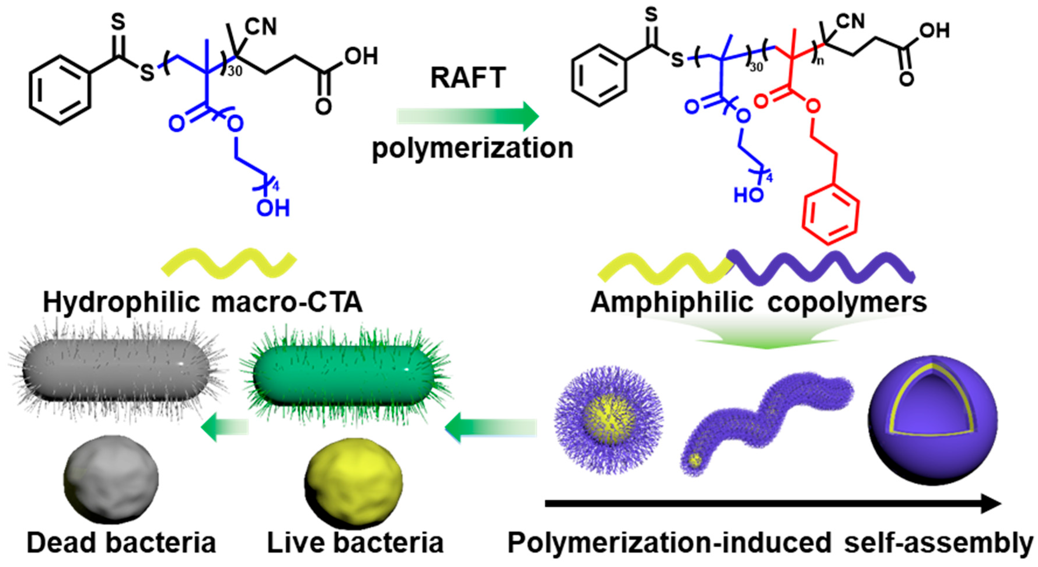 Gels 11 00690 sch001 Gels 11 00690 sch001