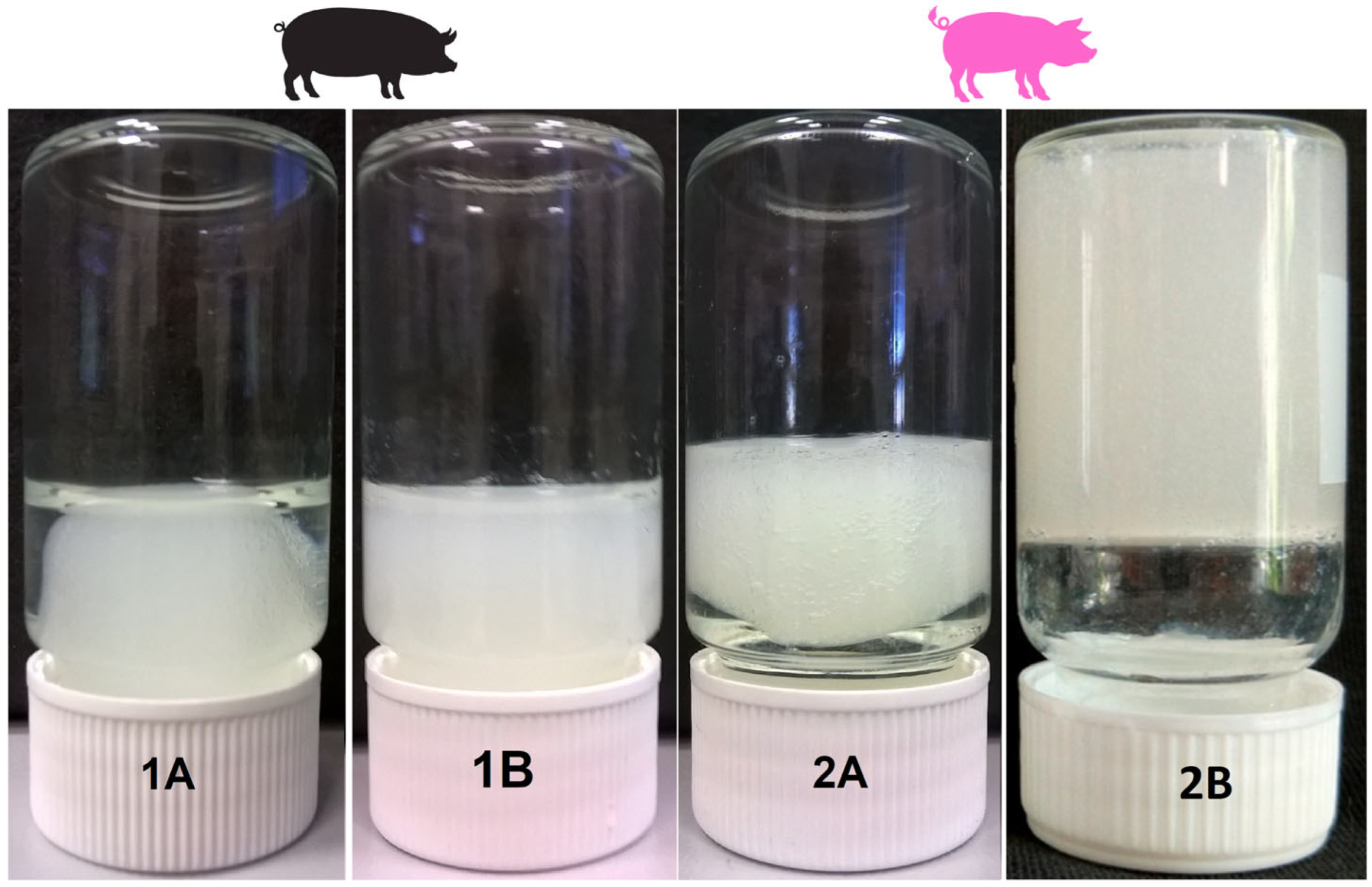 Gels 11 00695 g001 Gels 11 00695 g001