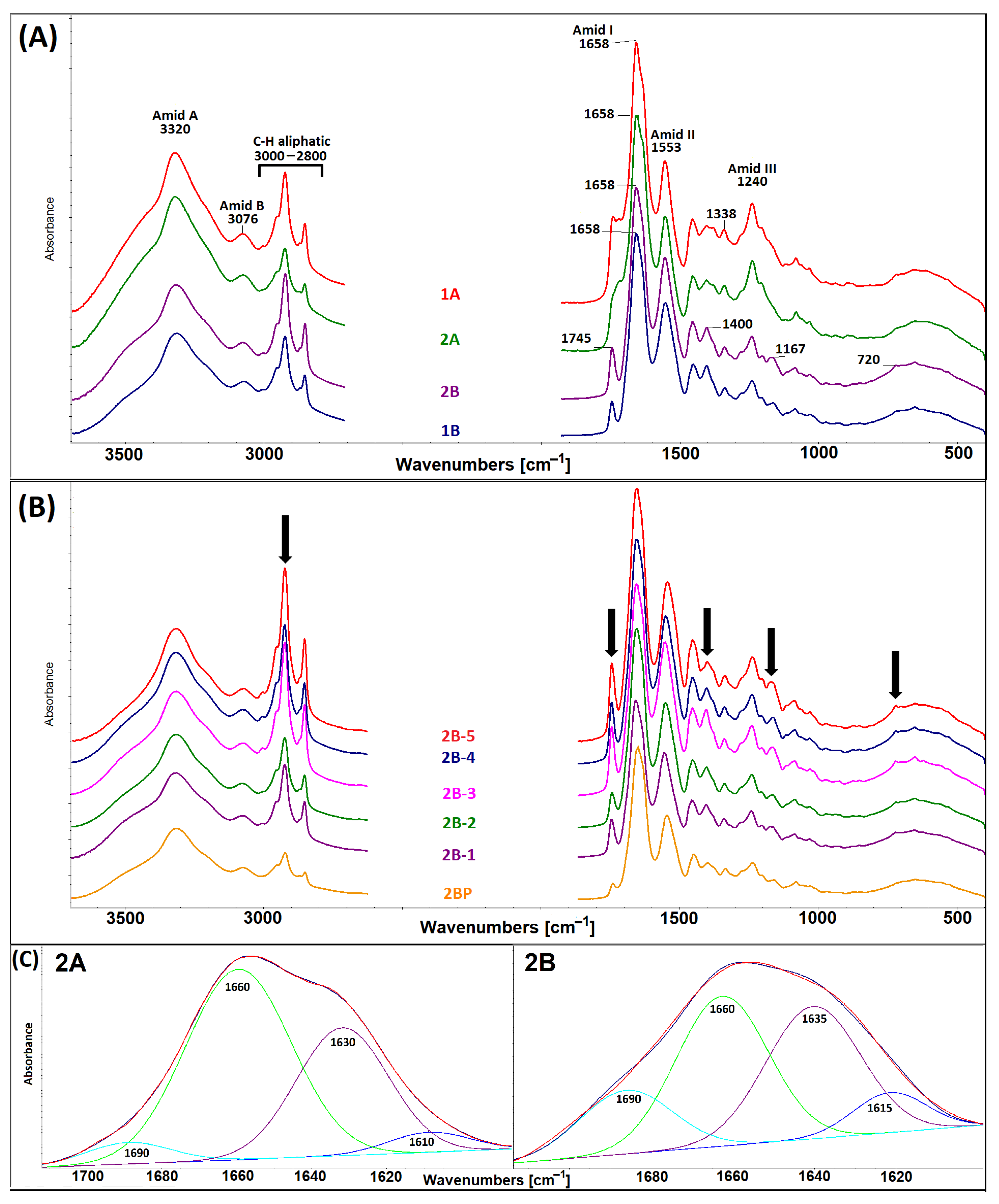 Gels 11 00695 g004 Gels 11 00695 g004