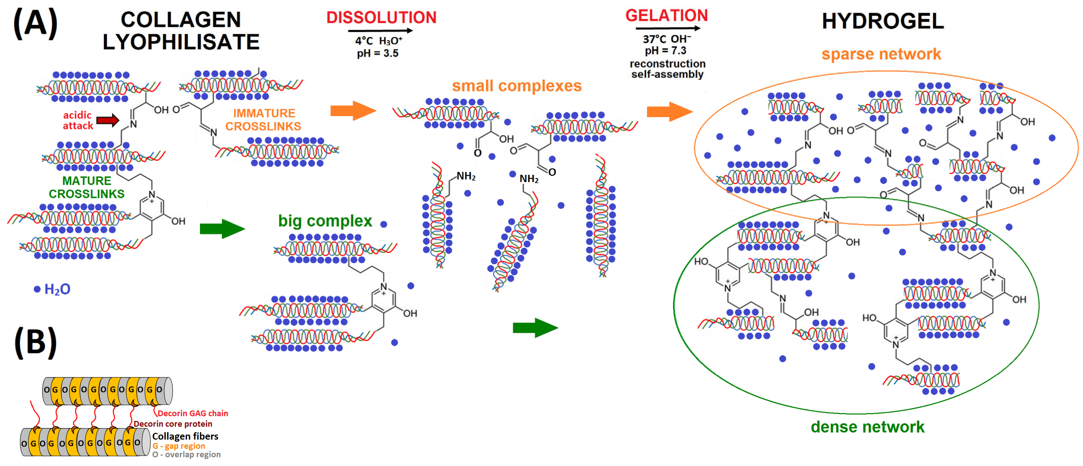 Gels 11 00695 g008 Gels 11 00695 g008