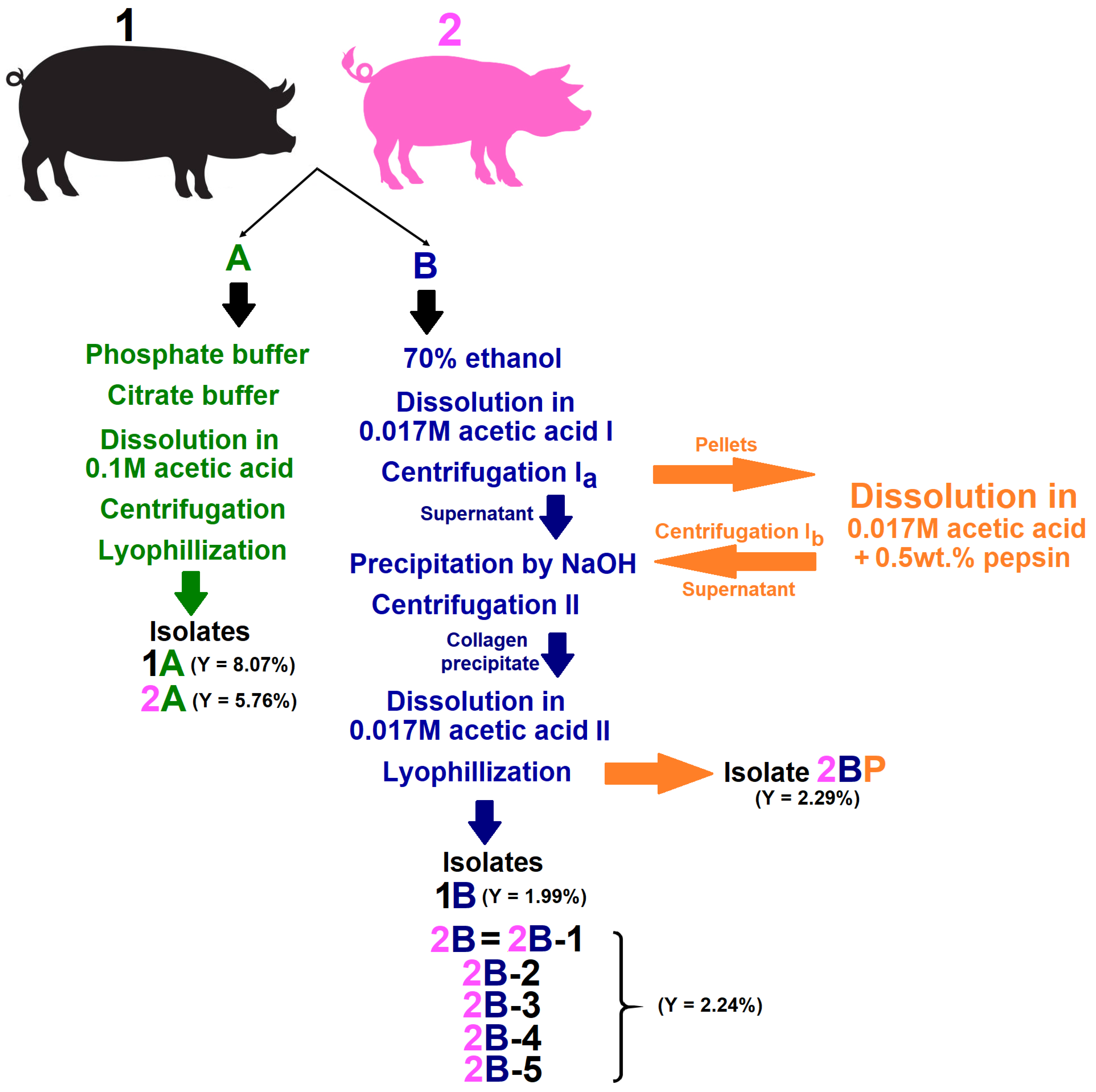 Gels 11 00695 g010 Gels 11 00695 g010