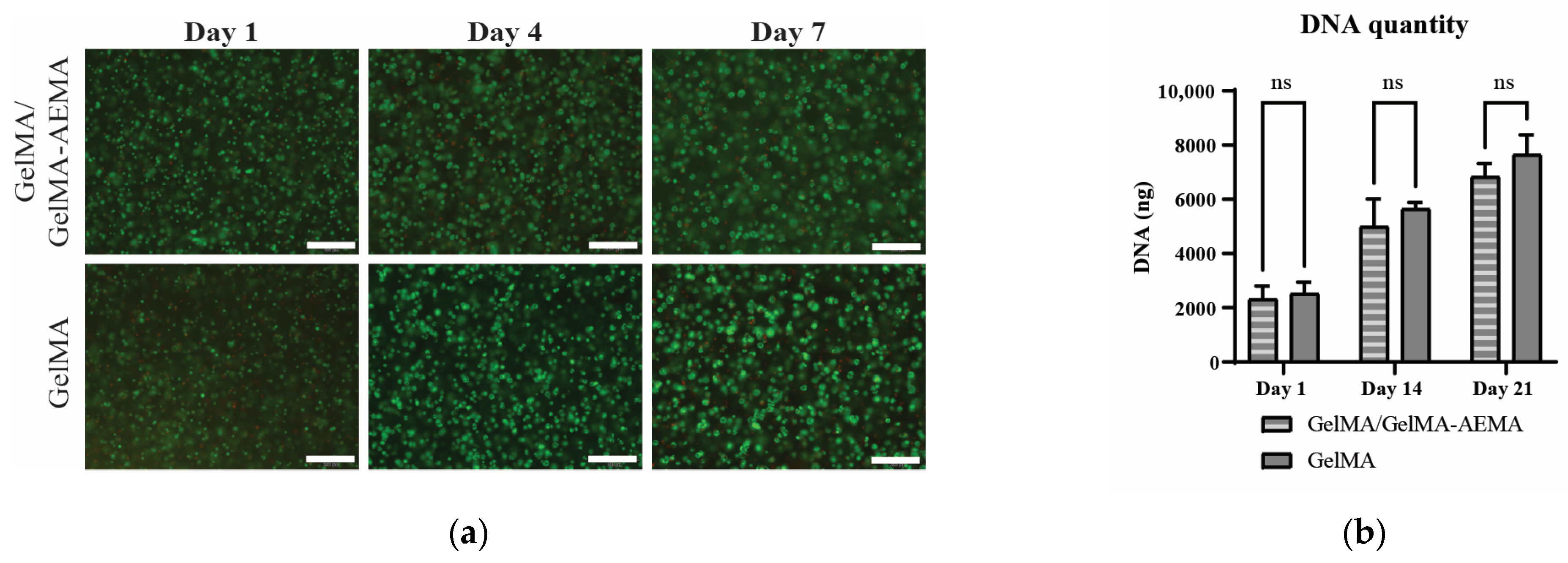 Gels 11 00698 g005a Gels 11 00698 g005a