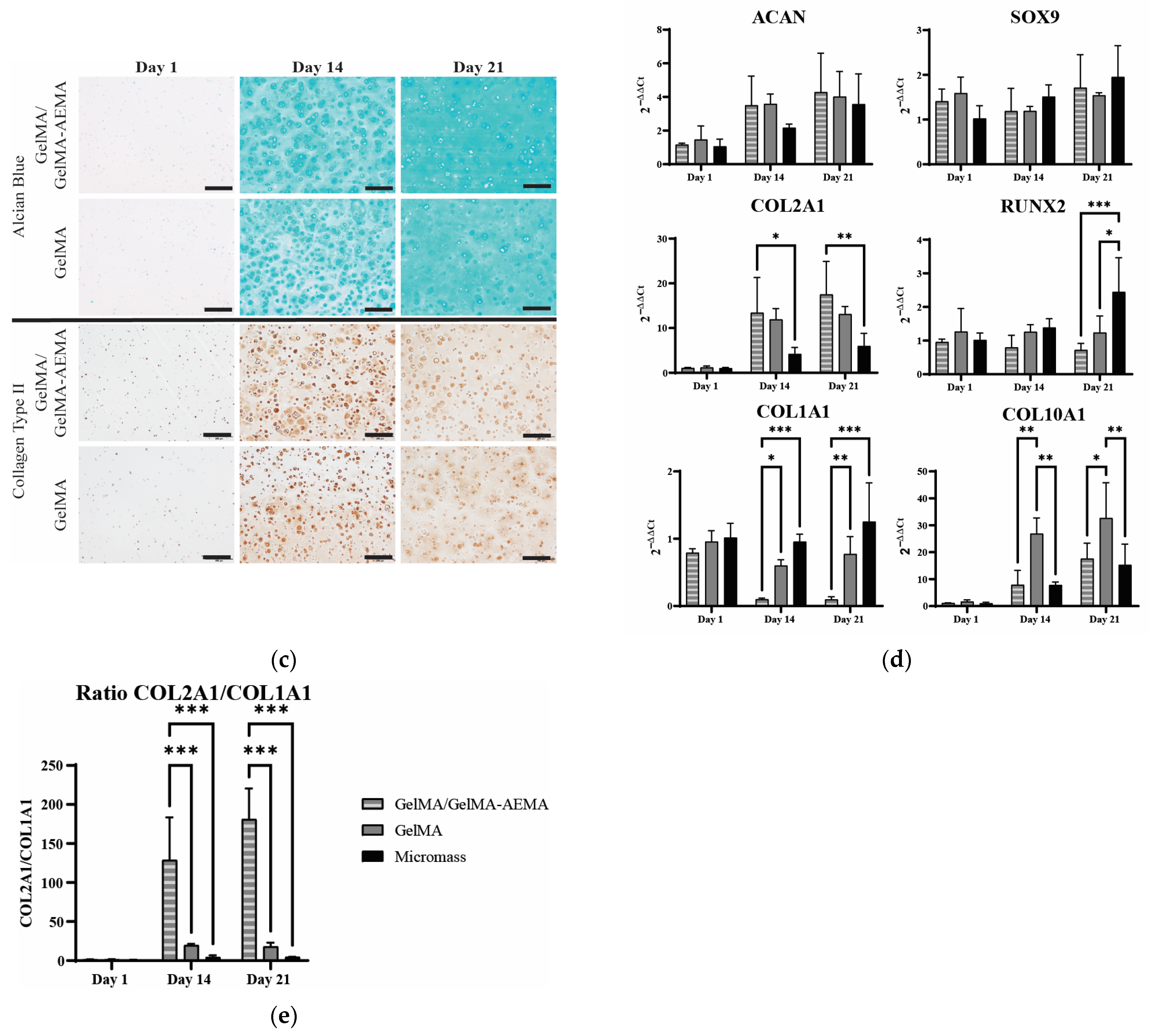 Gels 11 00698 g005b Gels 11 00698 g005b