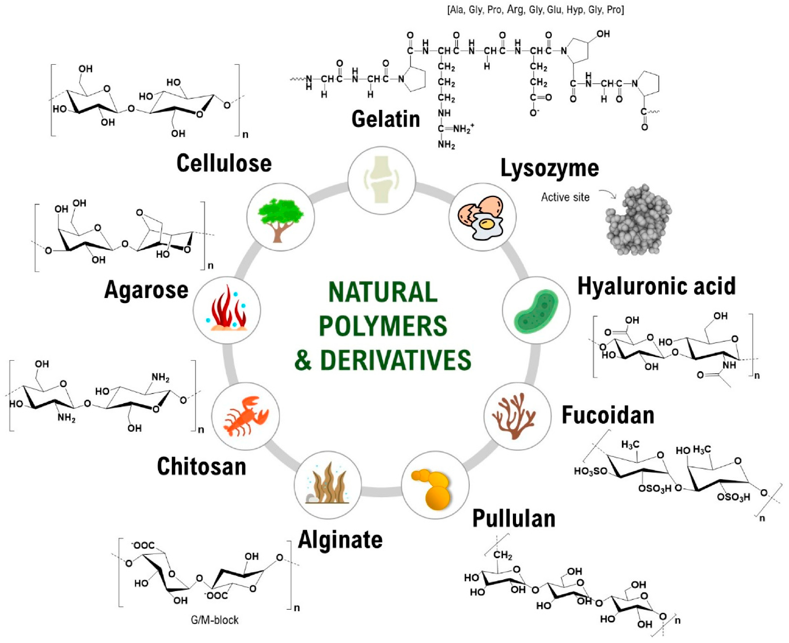 Gels 11 00699 g004 Gels 11 00699 g004