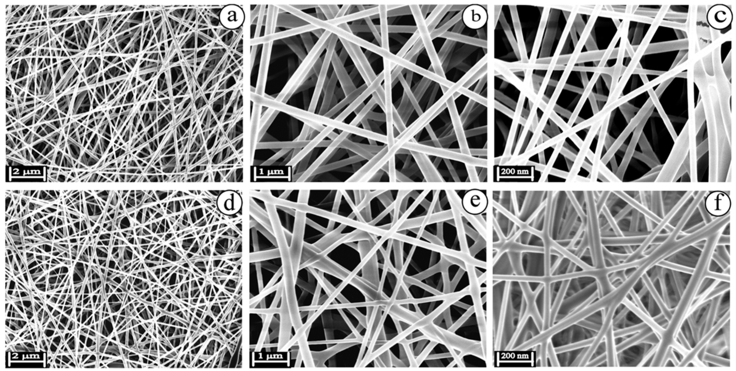 Gels 11 00699 g007 Gels 11 00699 g007