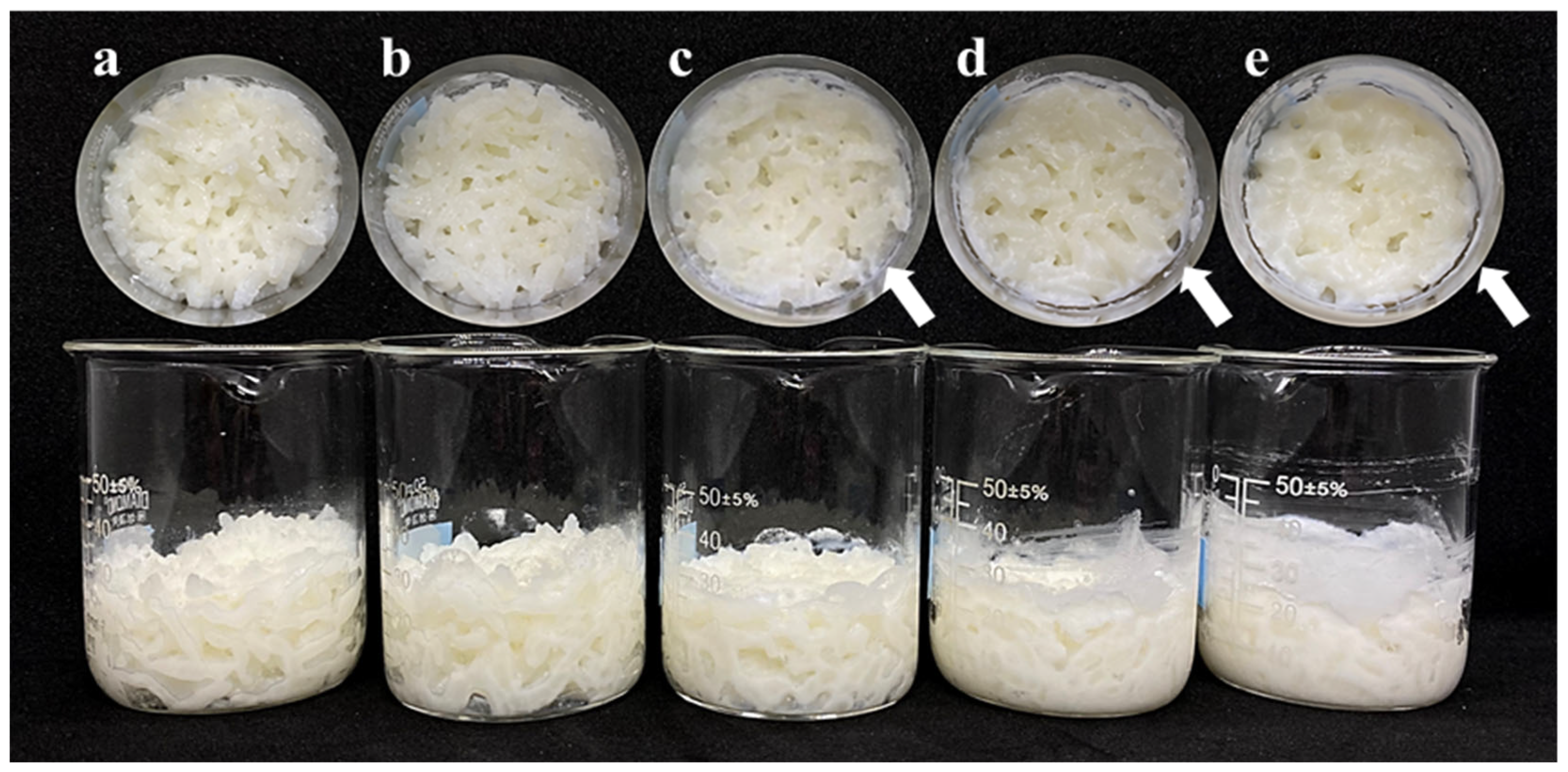 Gels 11 00701 g004 Gels 11 00701 g004