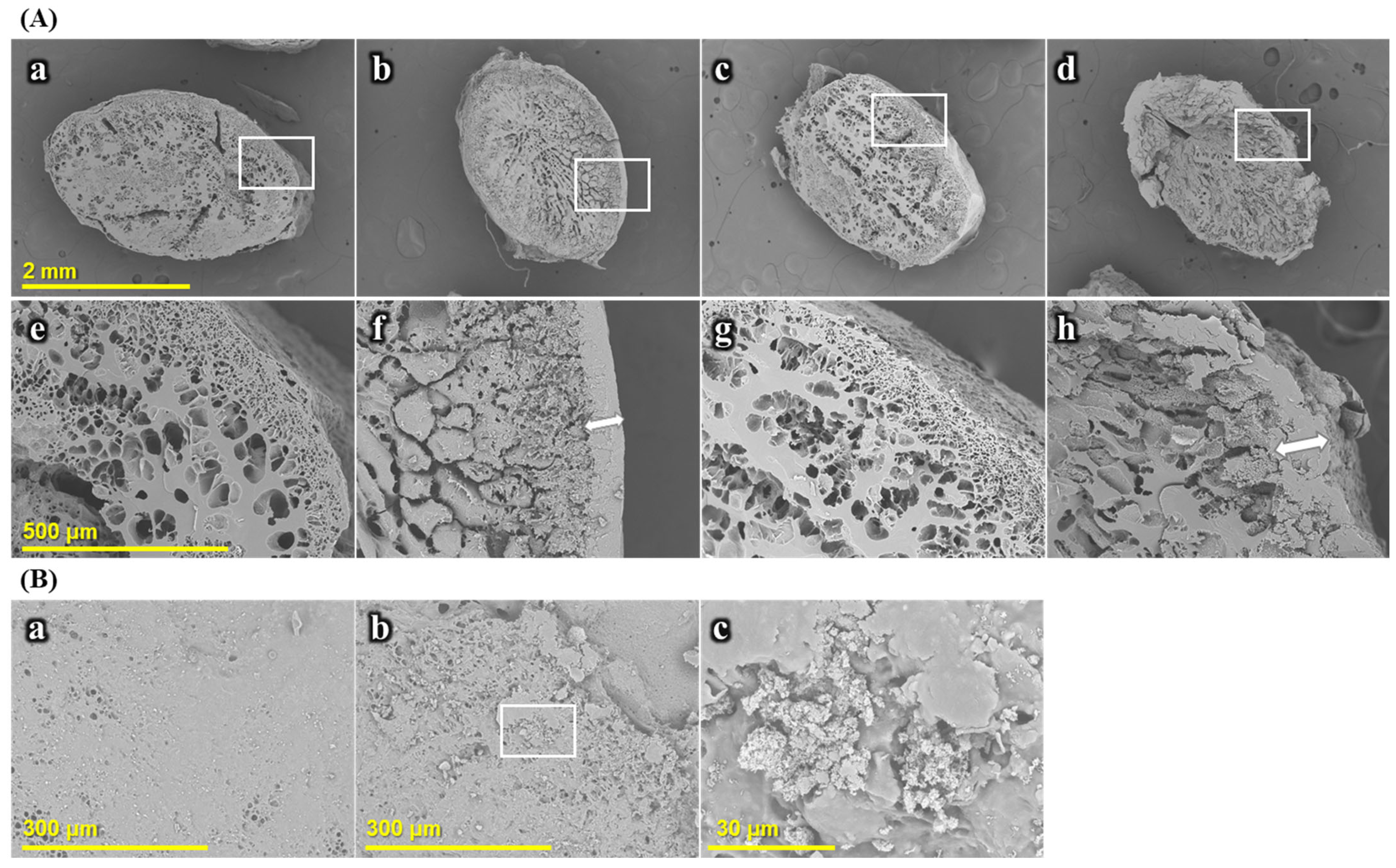 Gels 11 00701 g006 Gels 11 00701 g006