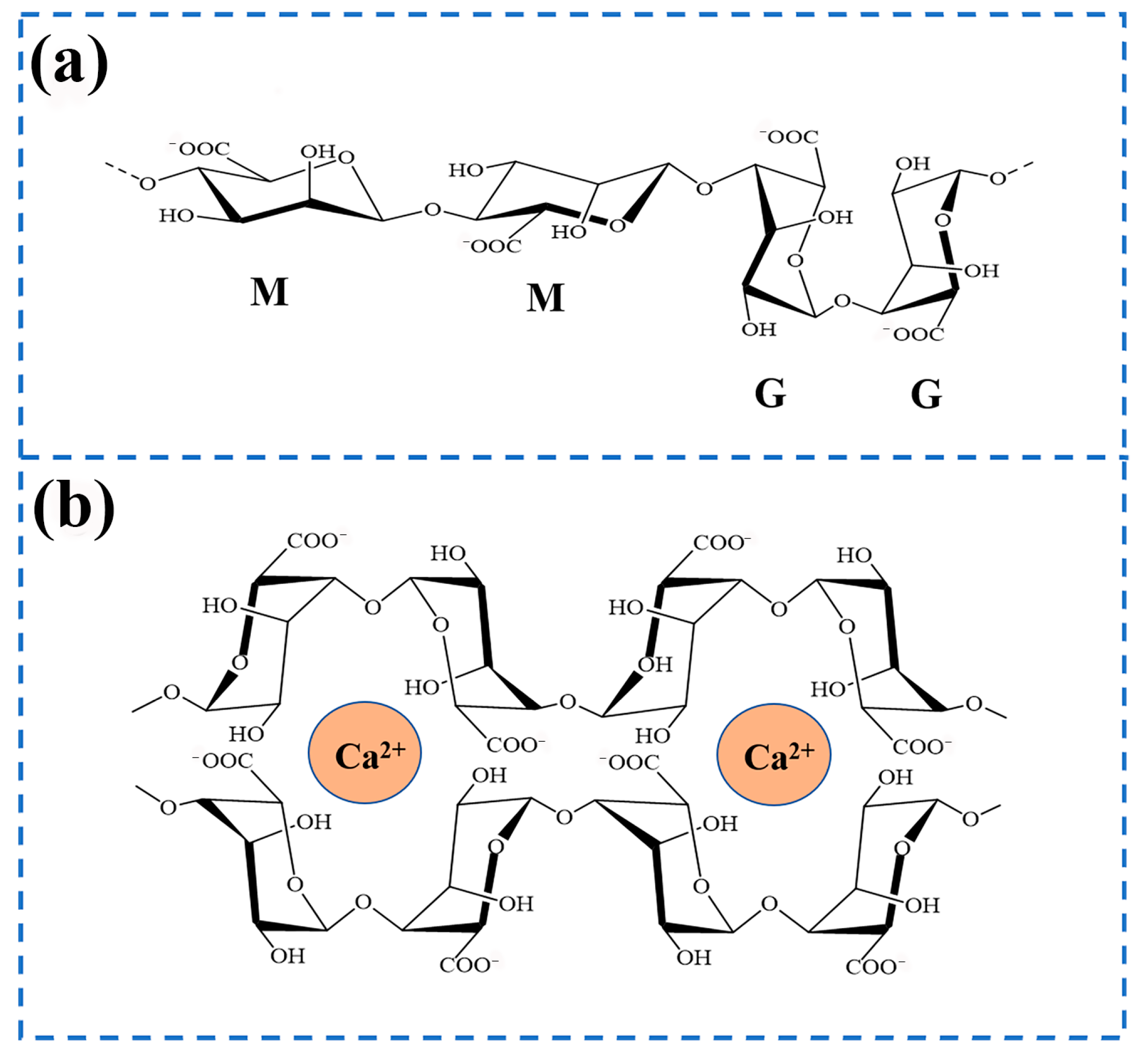 Gels 11 00704 g002 Gels 11 00704 g002