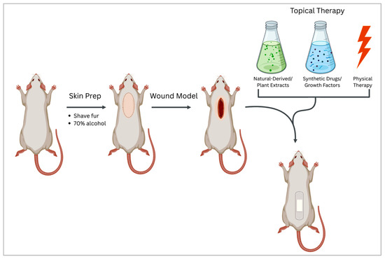 Dr.スリープⅡ plus 商品紹介（Dr.スリープⅡ）｜ヘルスインターメソッド株式会社（HIM）