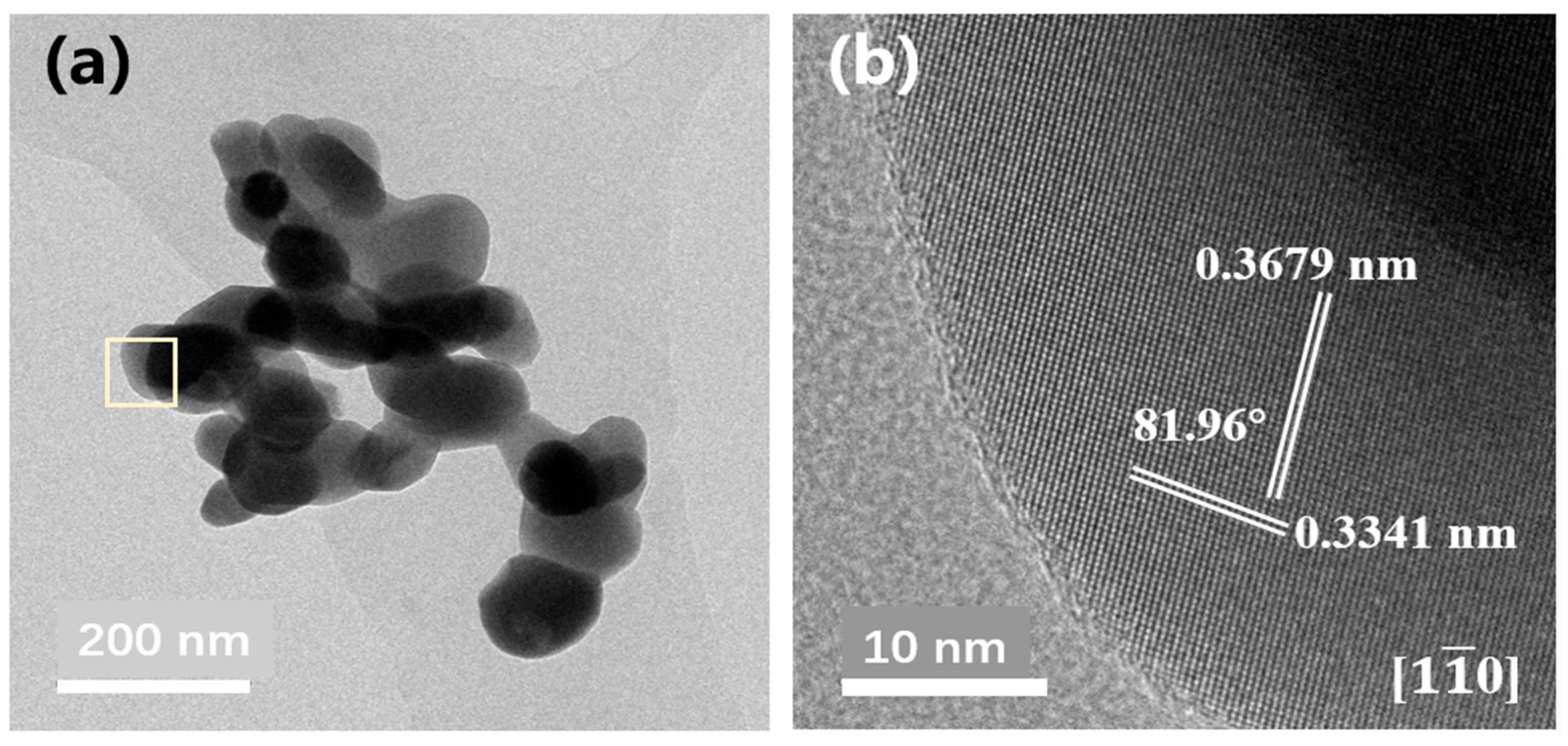 Gels 11 00706 g005 Gels 11 00706 g005