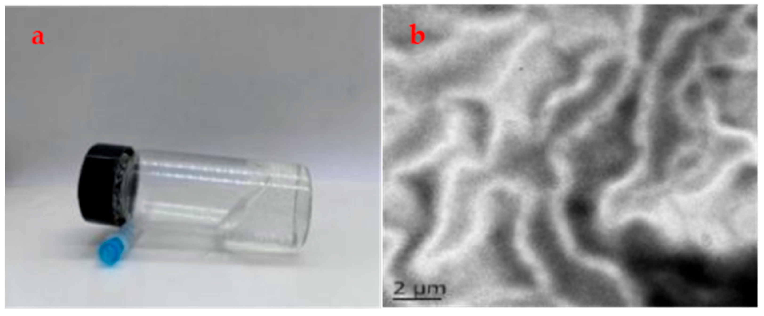 Gels 11 00714 g001 Gels 11 00714 g001