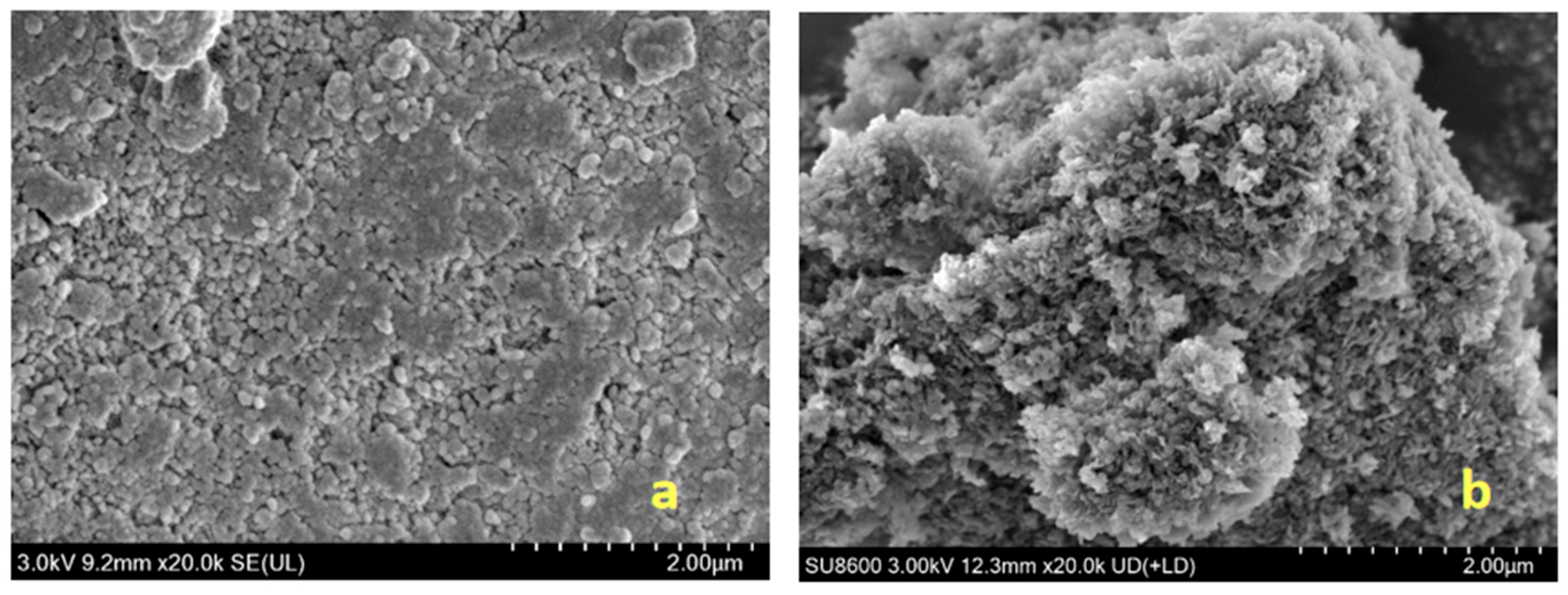 Gels 11 00714 g006 Gels 11 00714 g006