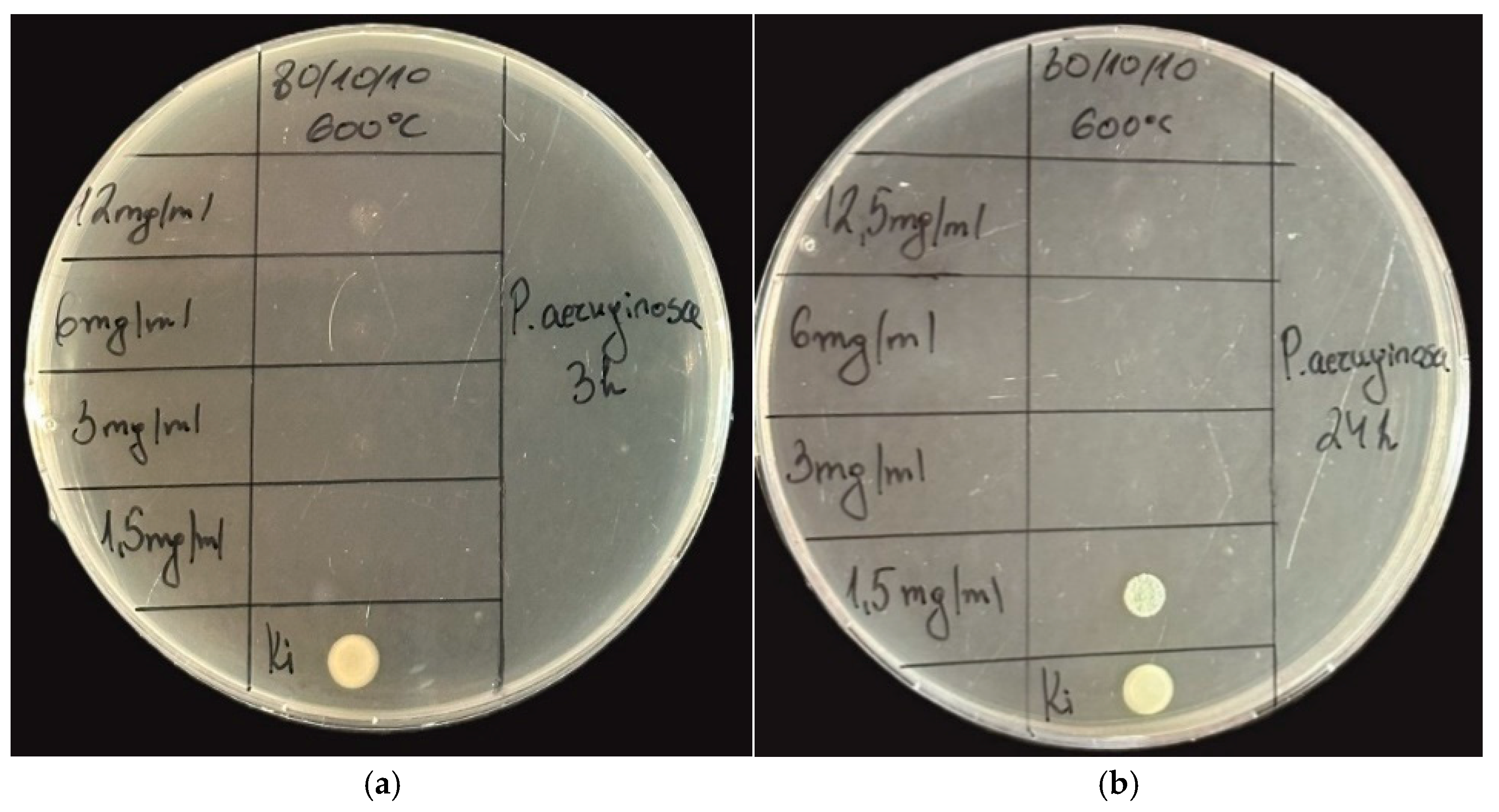 Gels 11 00716 g009 Gels 11 00716 g009