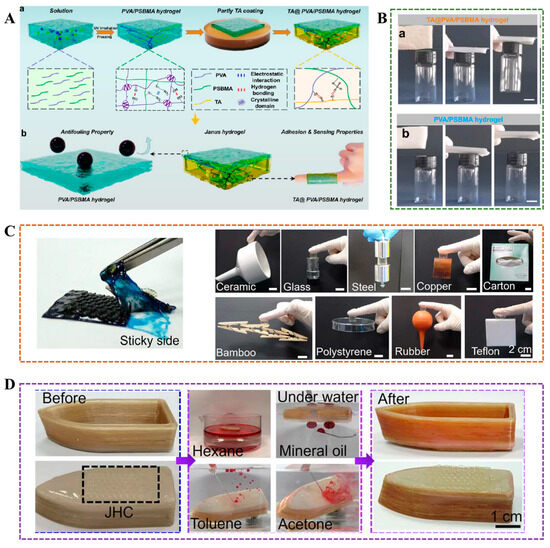 Janus Hydrogels: Design, Properties, and Applications