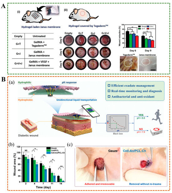 Janus Hydrogels: Design, Properties, and Applications