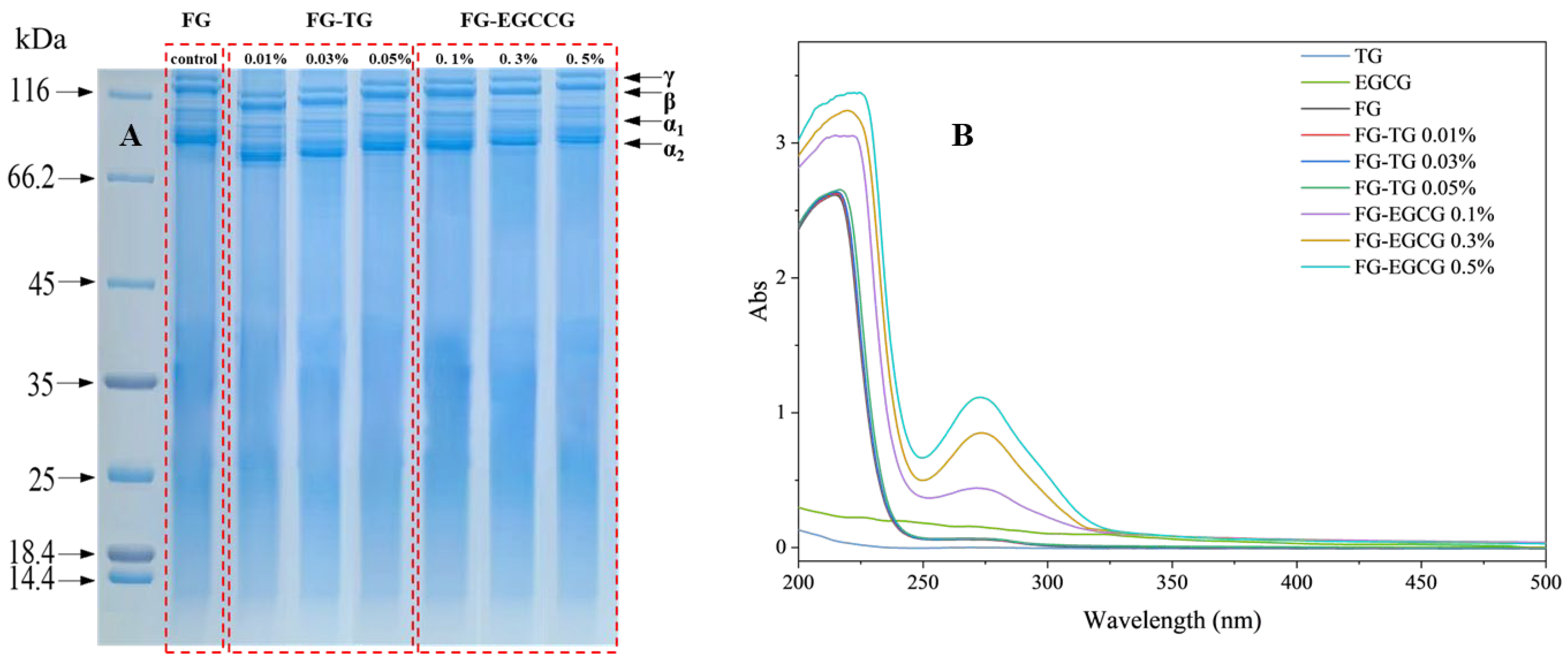 Gels 11 00725 g002 Gels 11 00725 g002