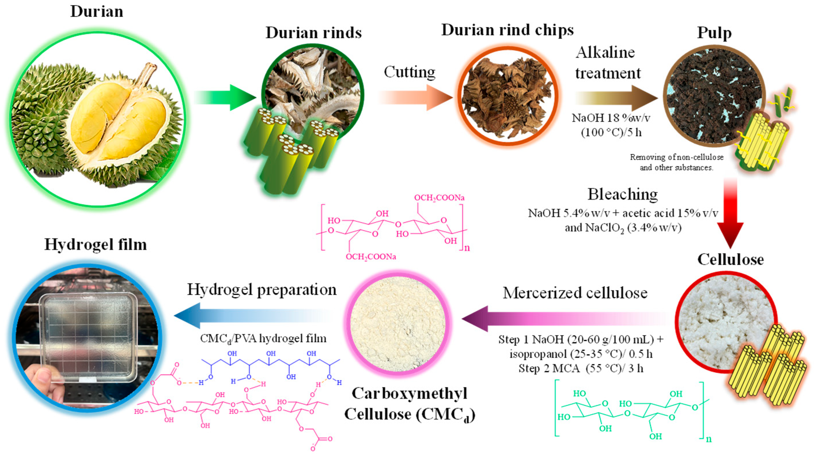 Gels 11 00728 sch001