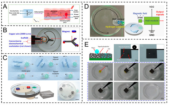 Gel-Based Marangoni Actuators: Mechanisms, Material Designs