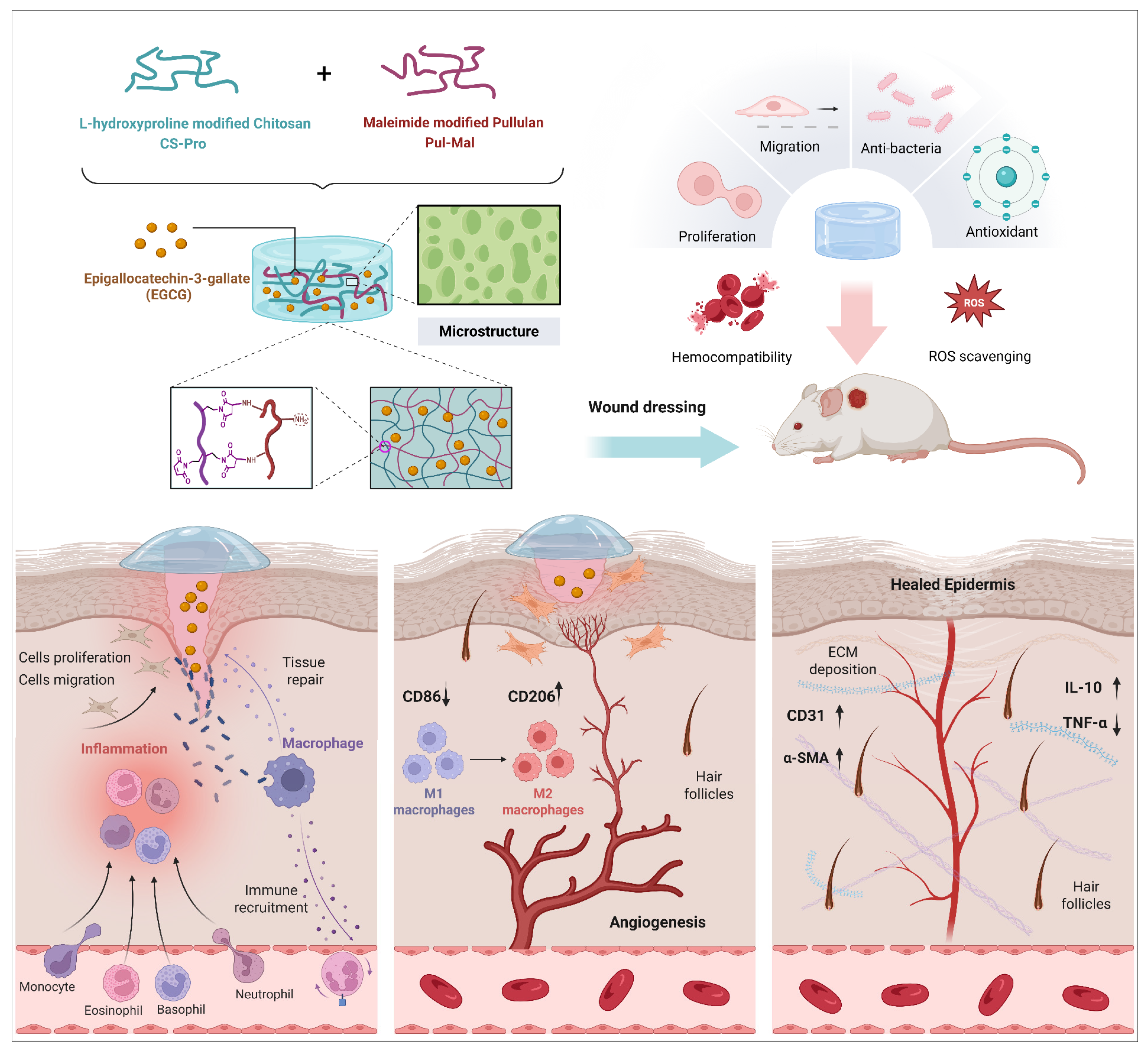 Gels 11 00732 sch001