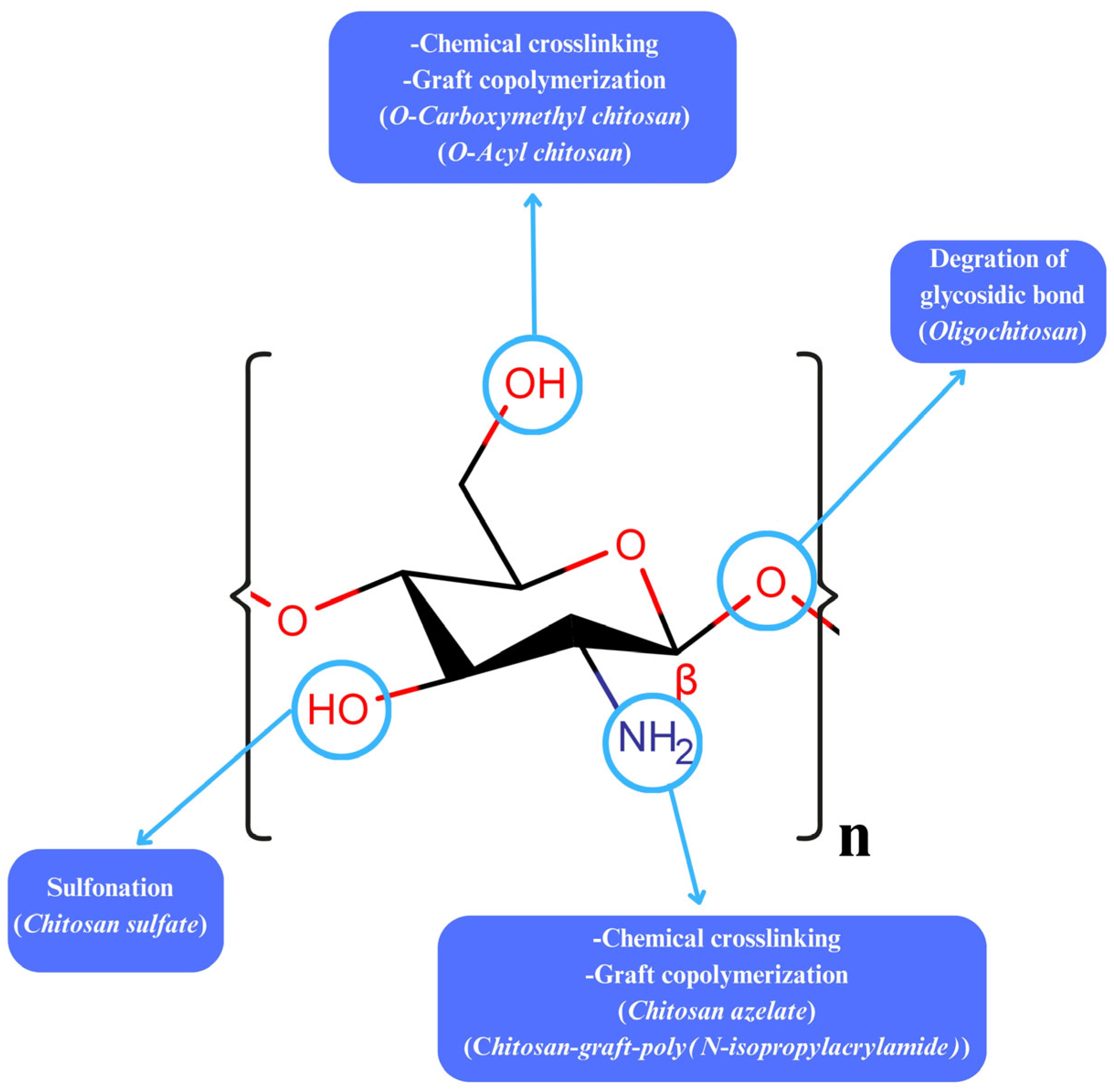 Gels 11 00735 g002 Gels 11 00735 g002