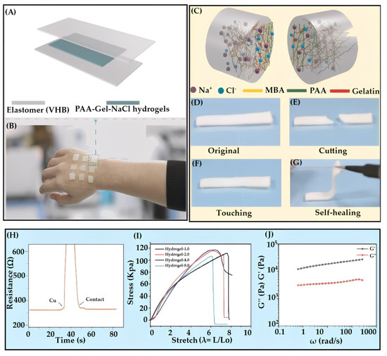 Polymer Gel-Based Triboelectric Nanogenerators: Conductivity and