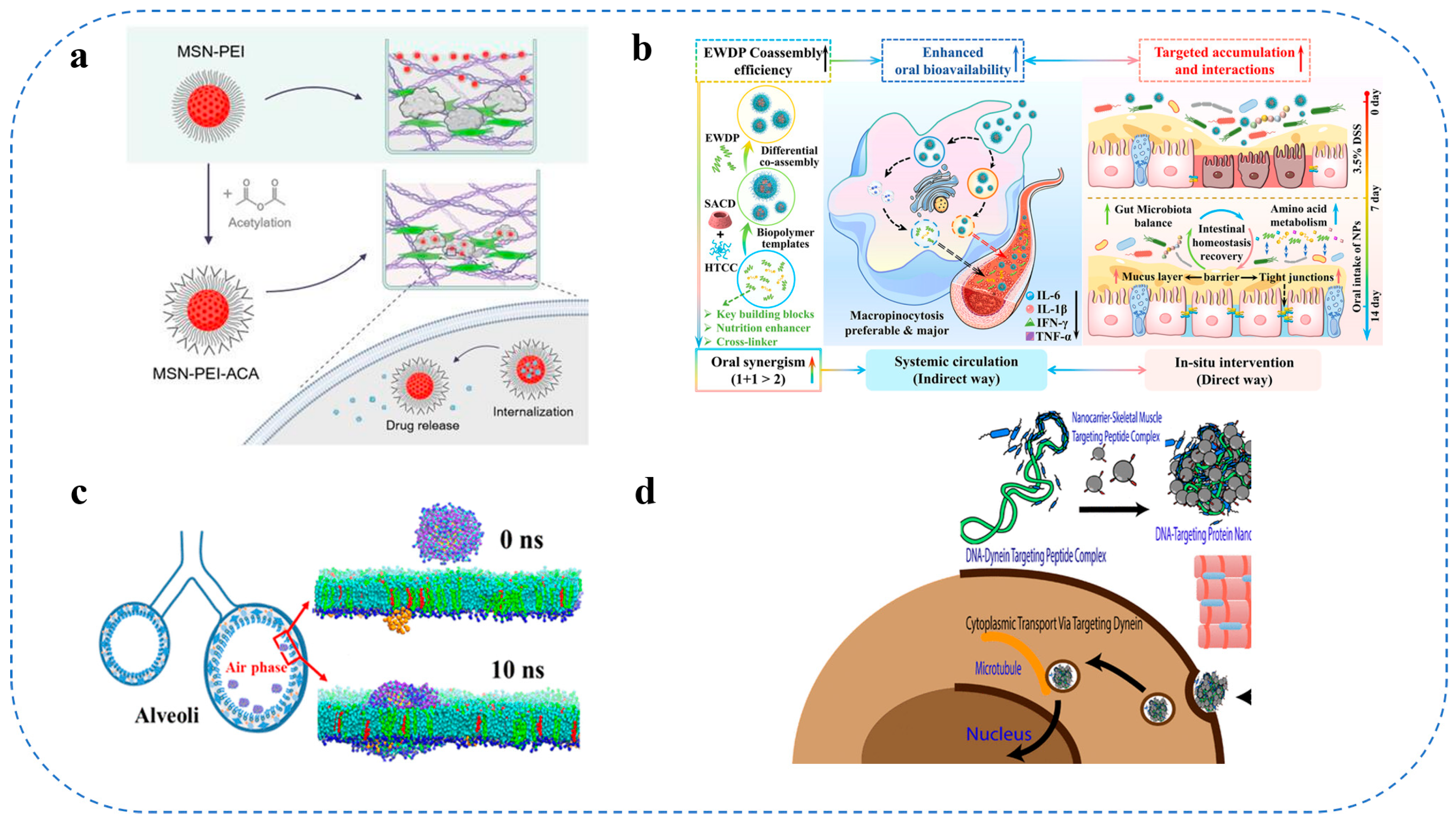 Gels 11 00746 g005 Gels 11 00746 g005