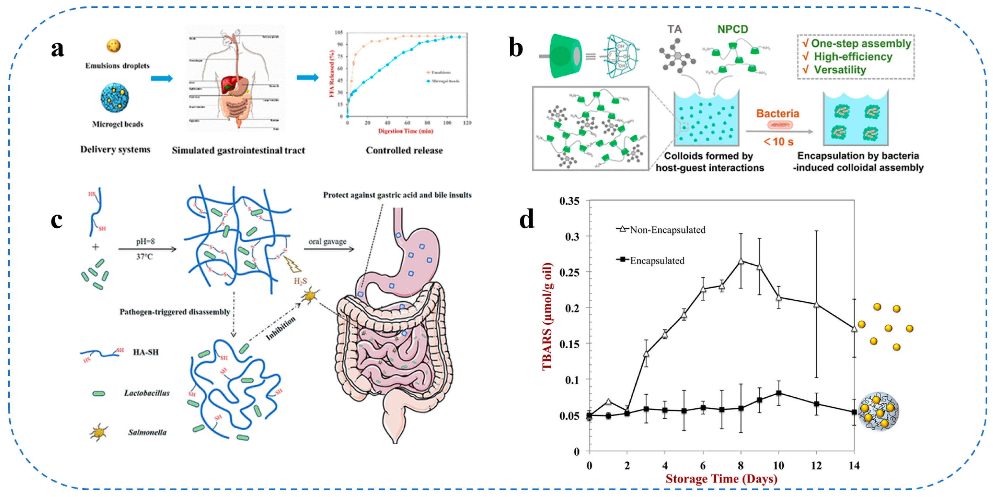 Gels 11 00746 g006 Gels 11 00746 g006
