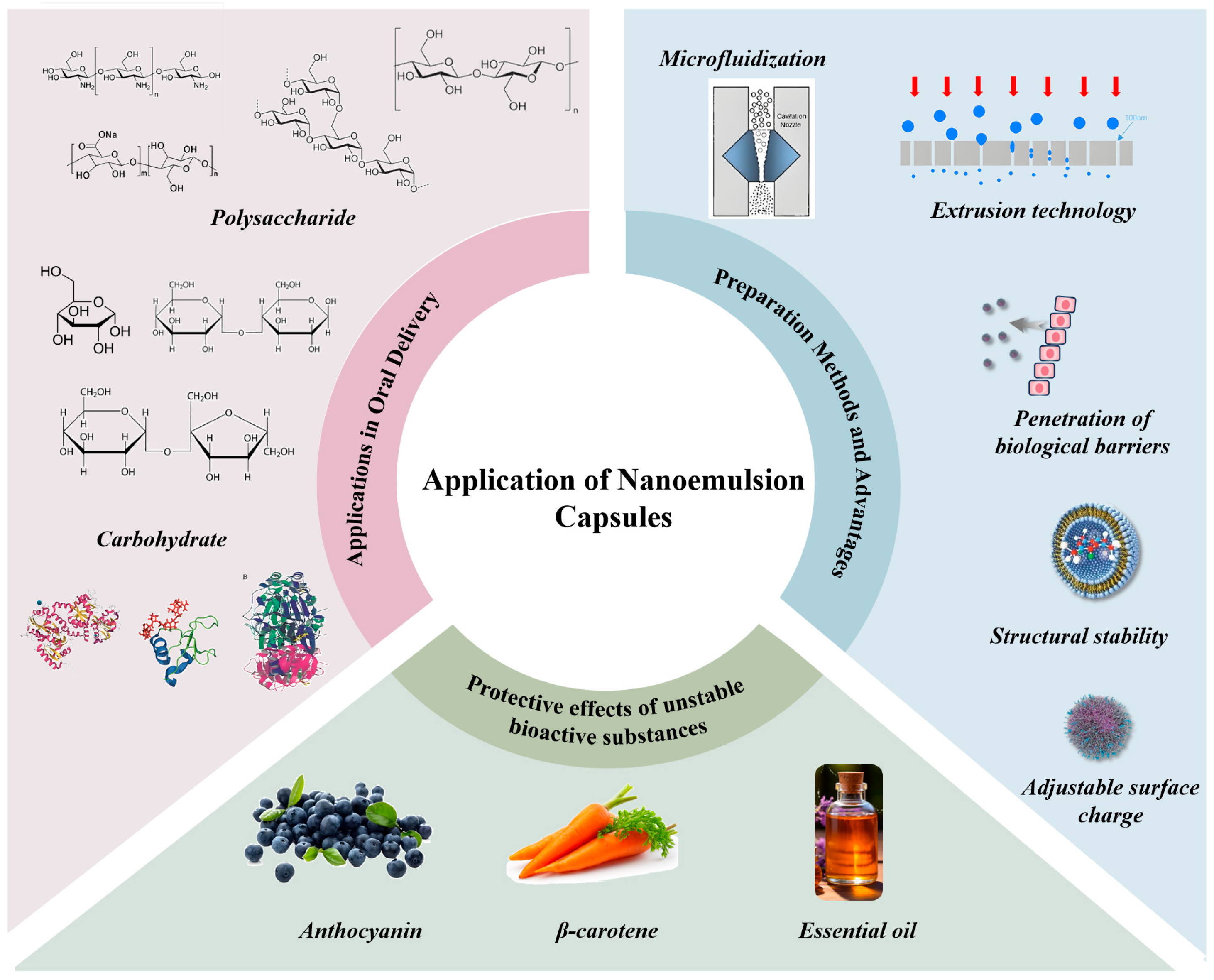 Gels 11 00746 g007 Gels 11 00746 g007