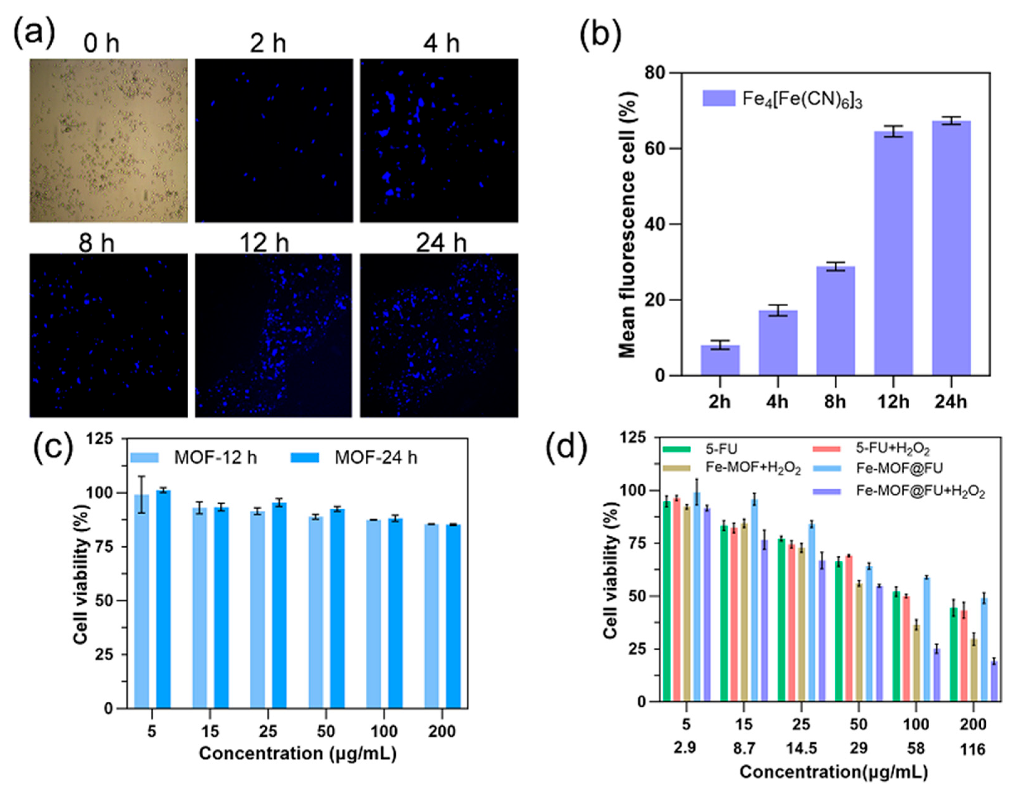 Gels 11 00750 g003 Gels 11 00750 g003