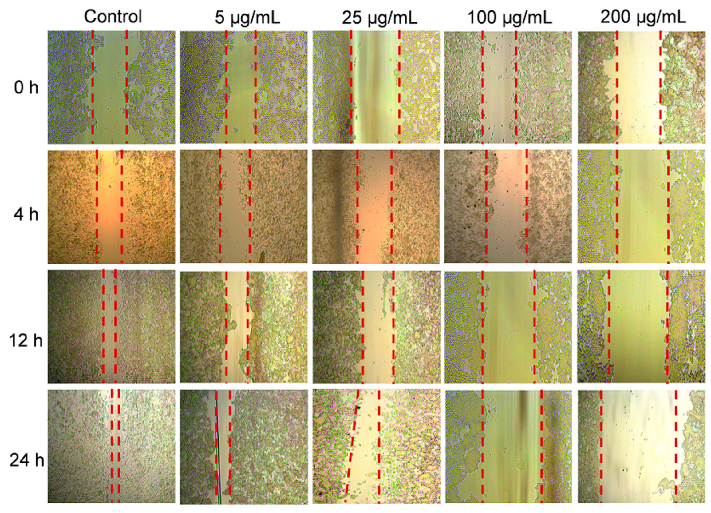 Gels 11 00750 g004 Gels 11 00750 g004