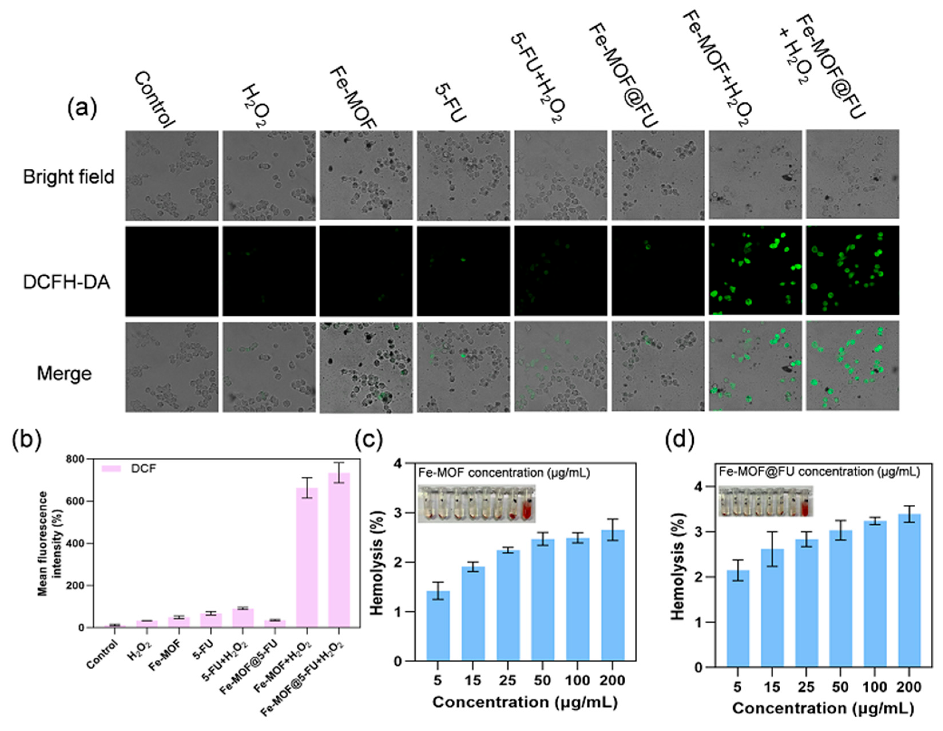 Gels 11 00750 g006 Gels 11 00750 g006