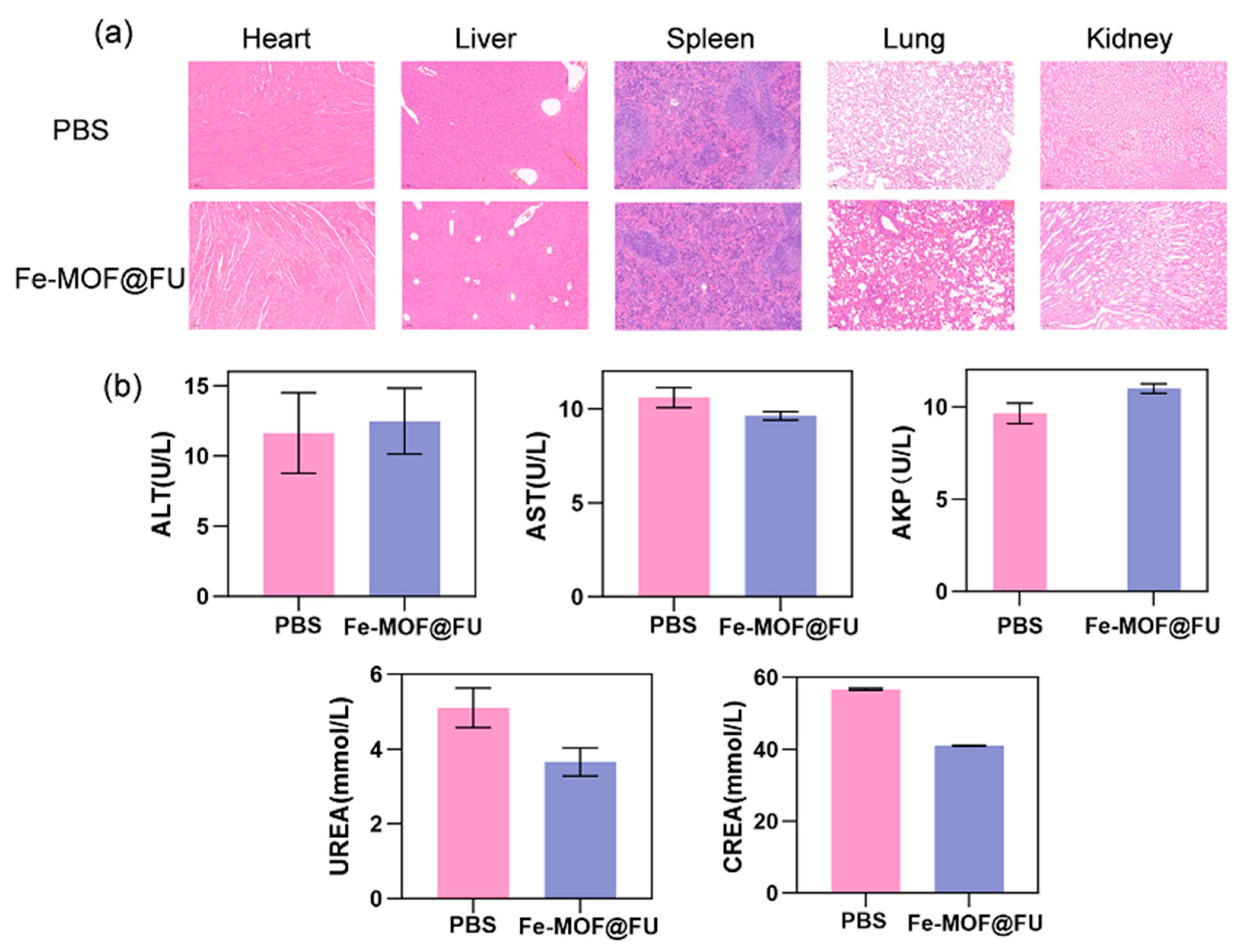 Gels 11 00750 g007 Gels 11 00750 g007