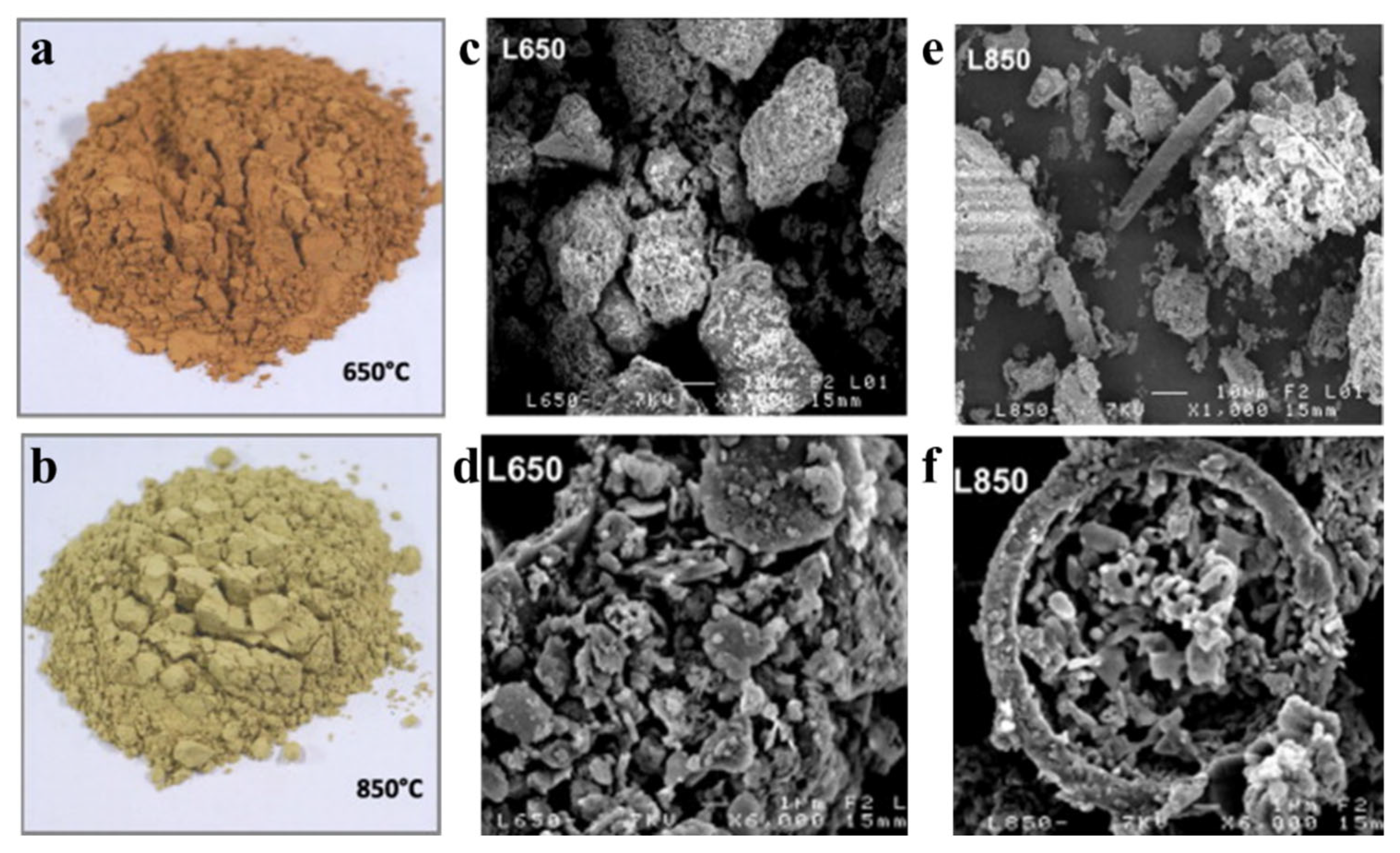 Gels 11 00755 g008 Gels 11 00755 g008