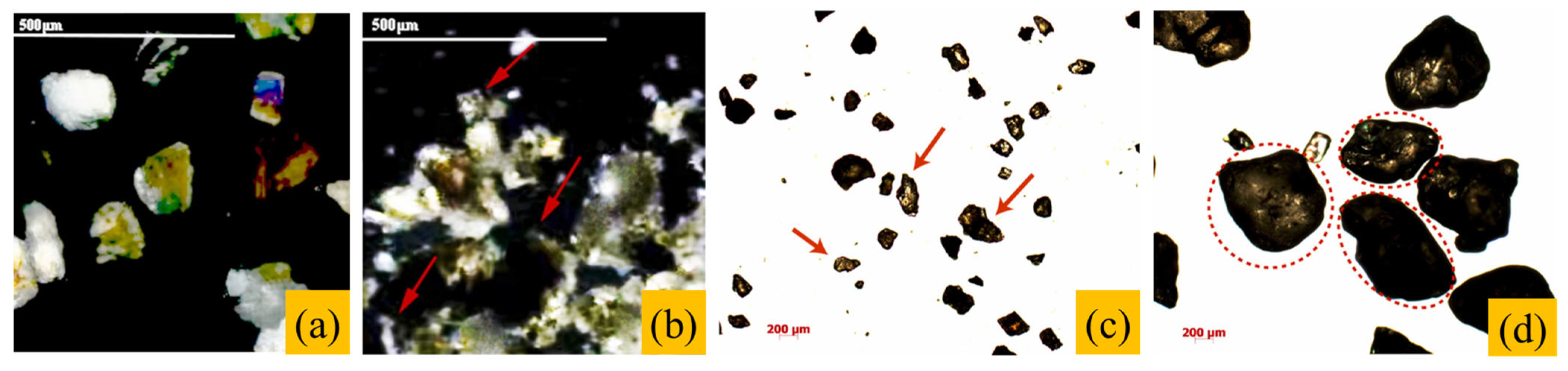 Gels 11 00755 g012 Gels 11 00755 g012