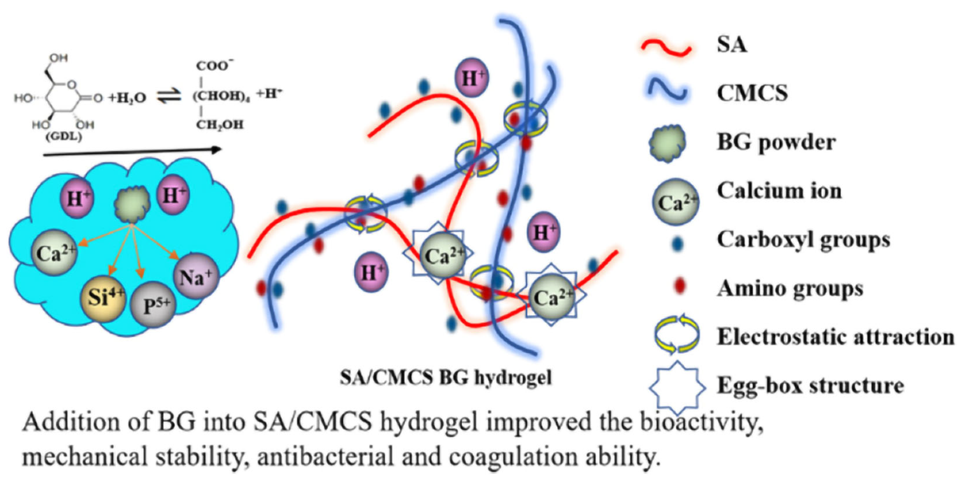 Gels 11 00758 g001 Gels 11 00758 g001