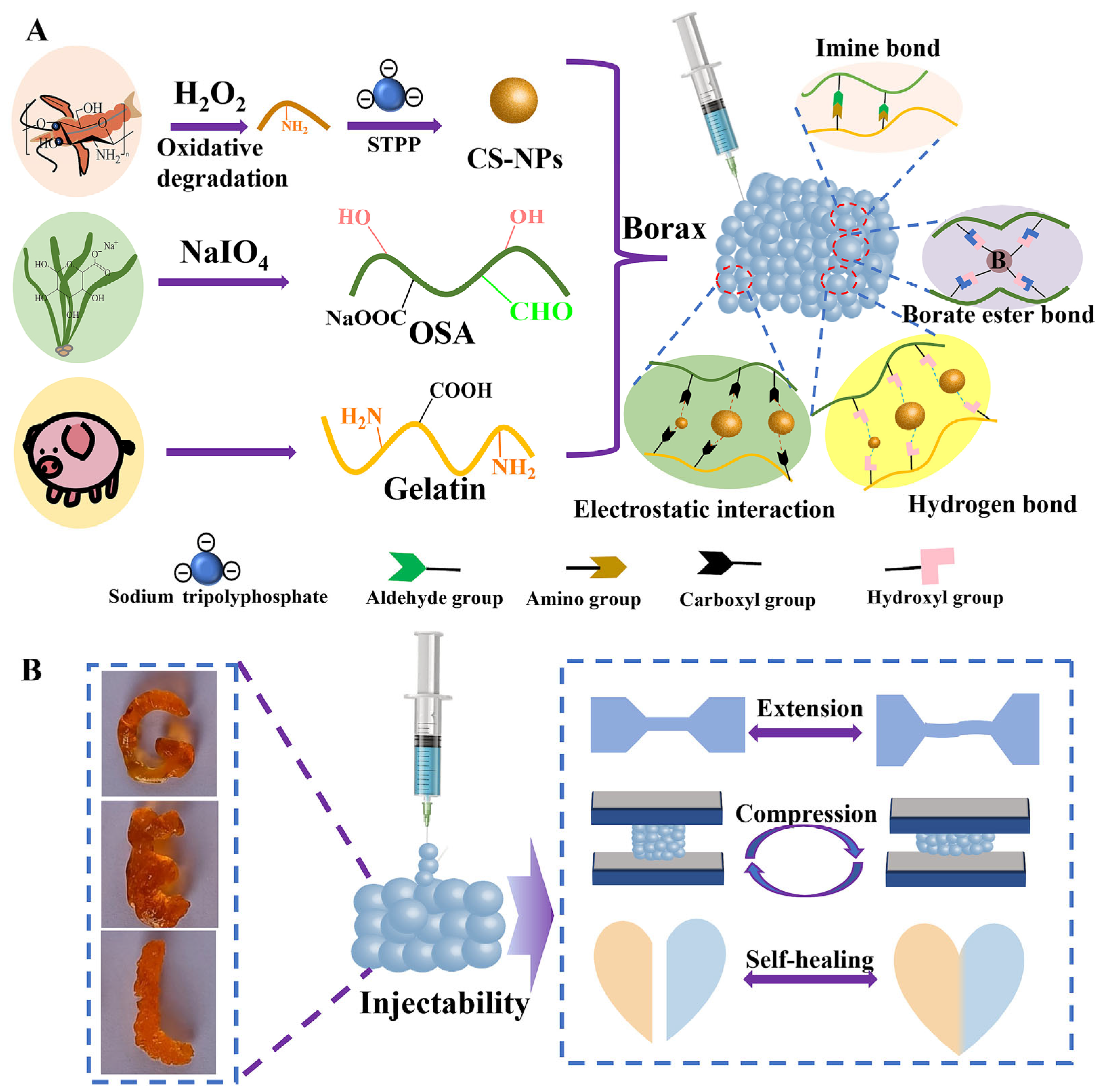 Gels 11 00758 g003 Gels 11 00758 g003