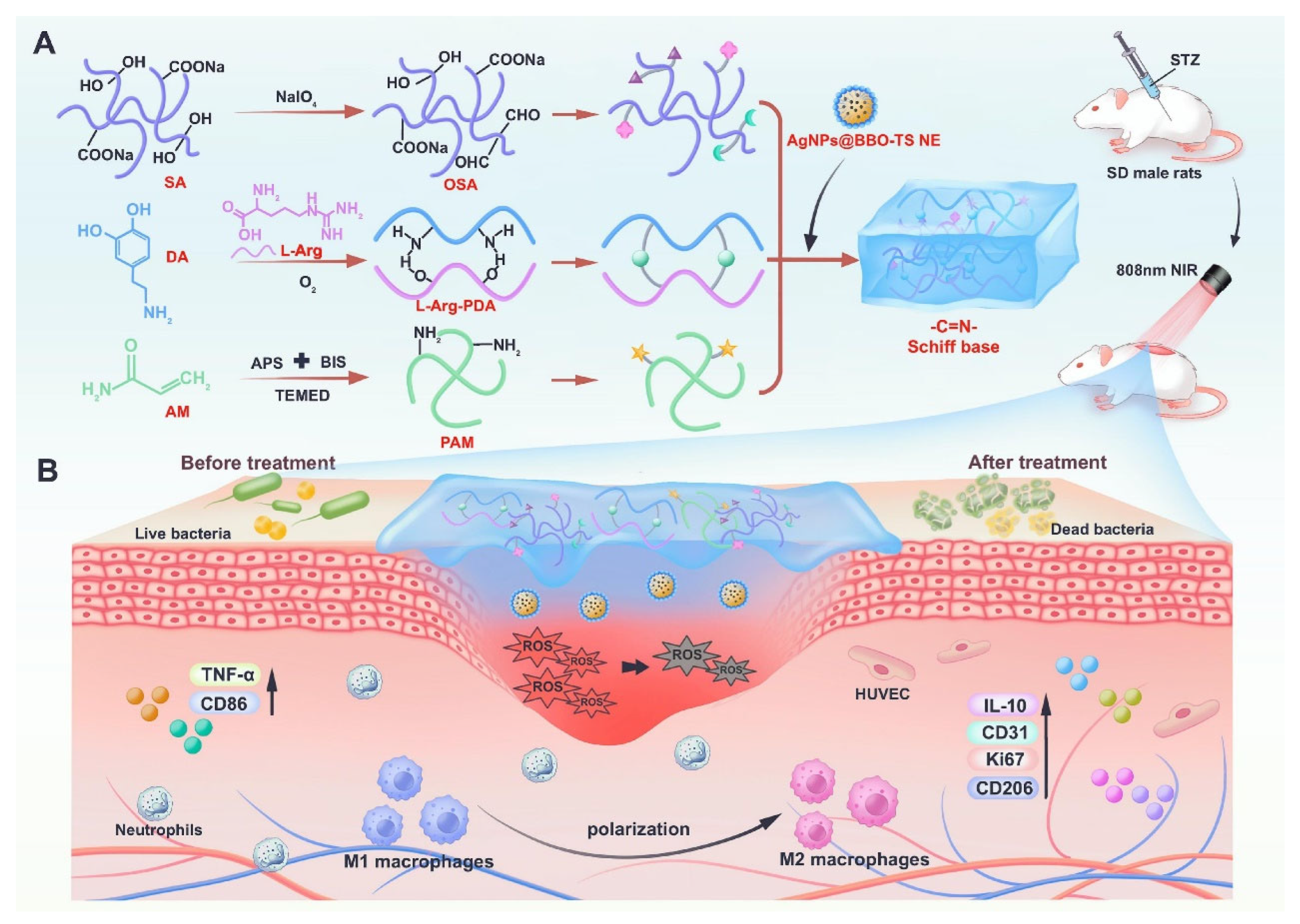 Gels 11 00758 g006 Gels 11 00758 g006