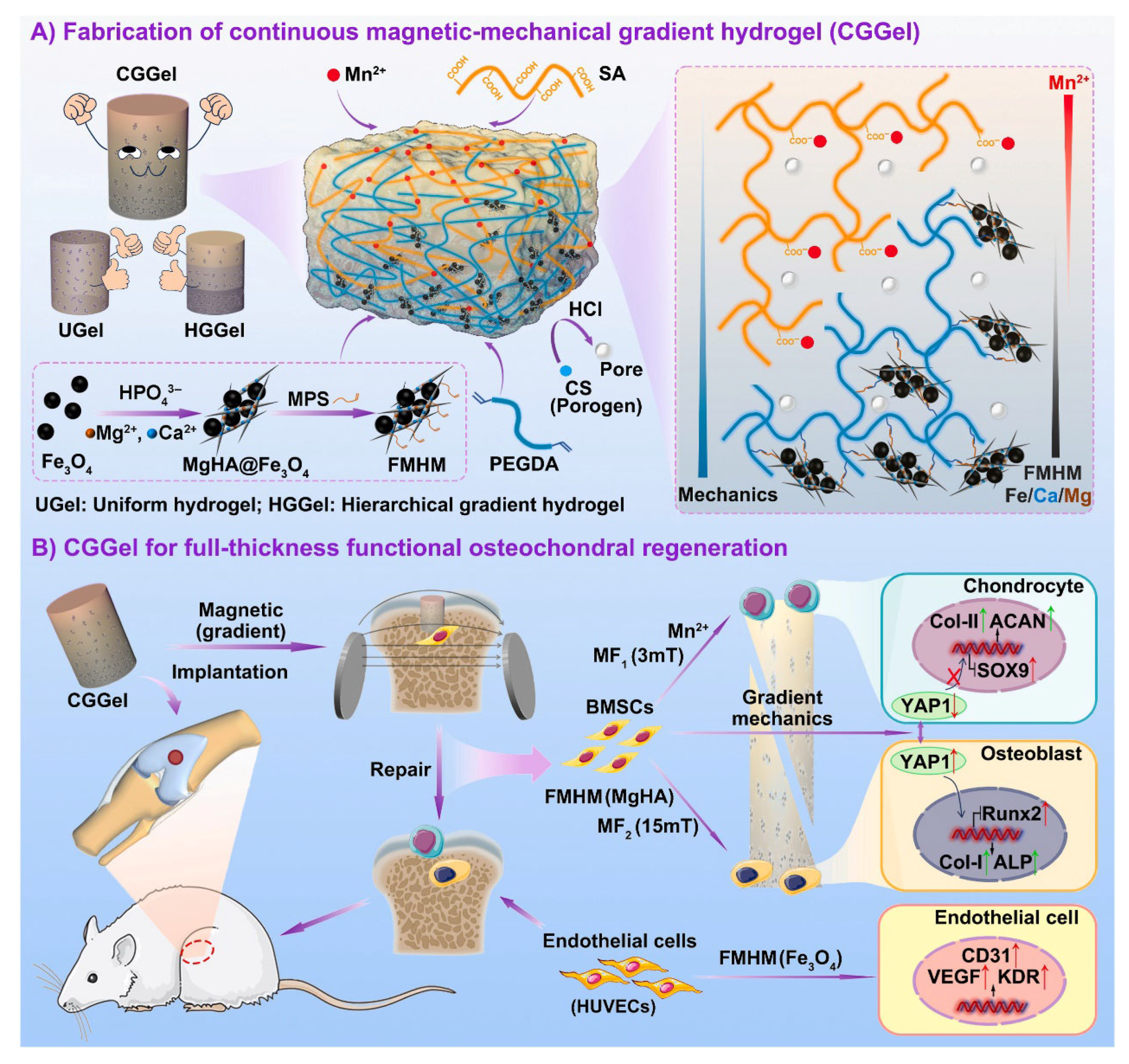 Gels 11 00758 g009 Gels 11 00758 g009