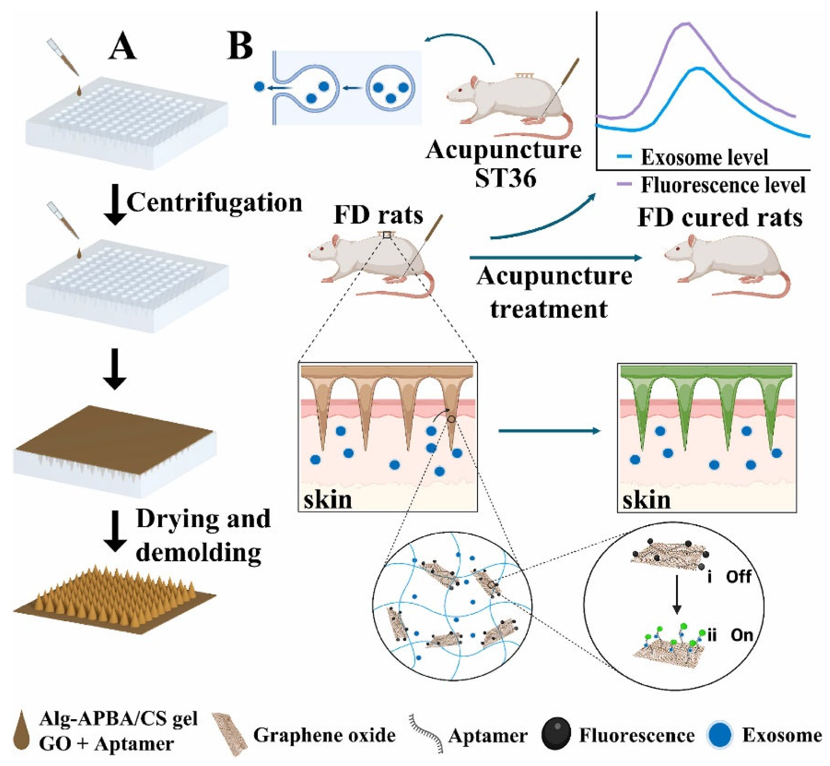 Gels 11 00758 g011 Gels 11 00758 g011