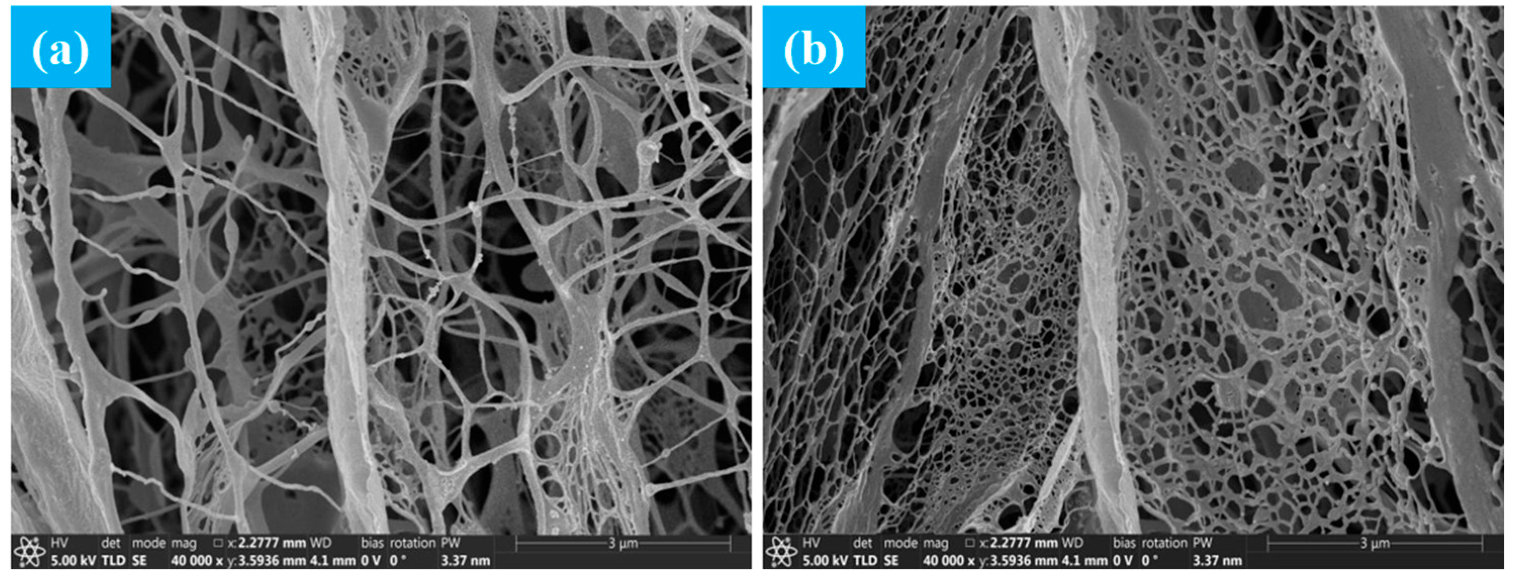 Gels 11 00772 g004 Gels 11 00772 g004