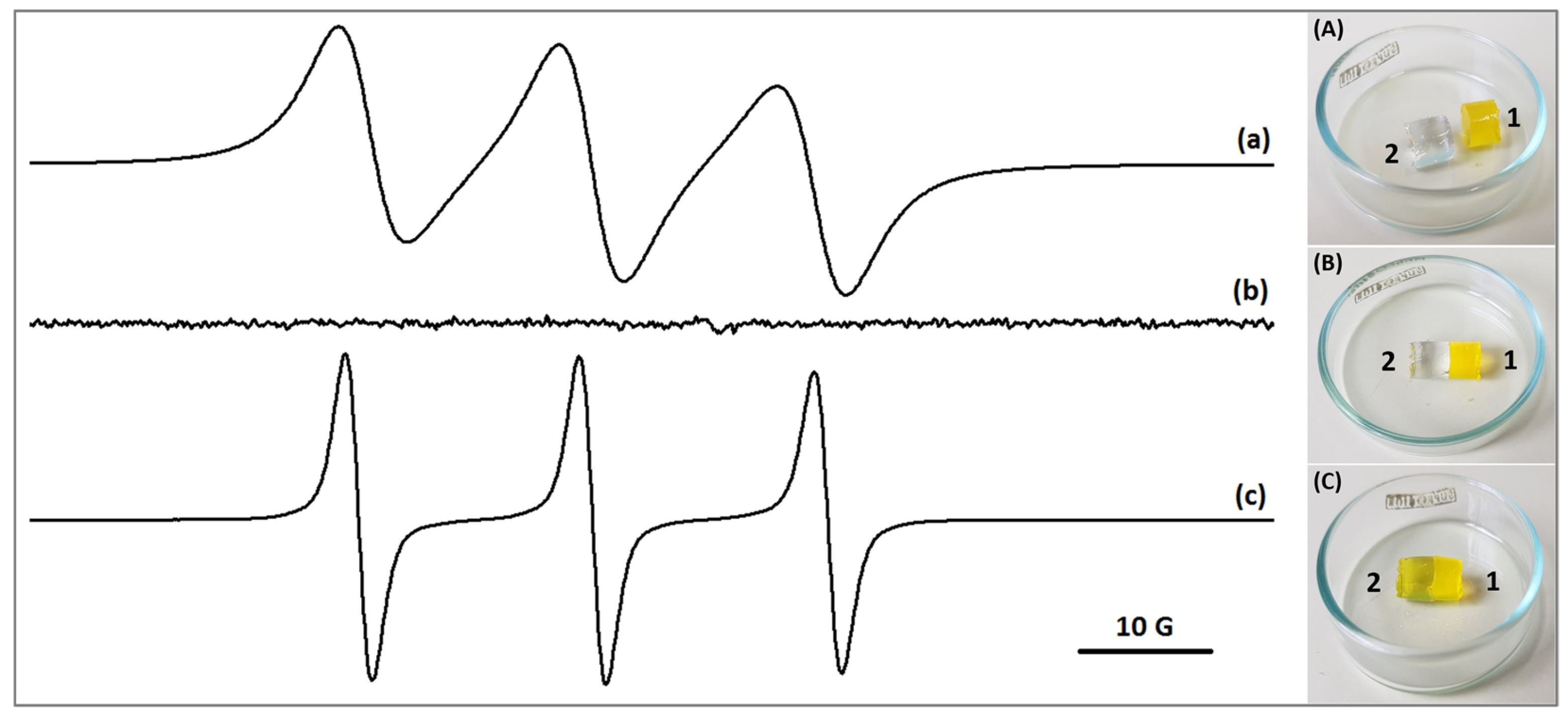 Gels 11 00773 g002 Gels 11 00773 g002